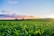 green grass field under white clouds during daytime