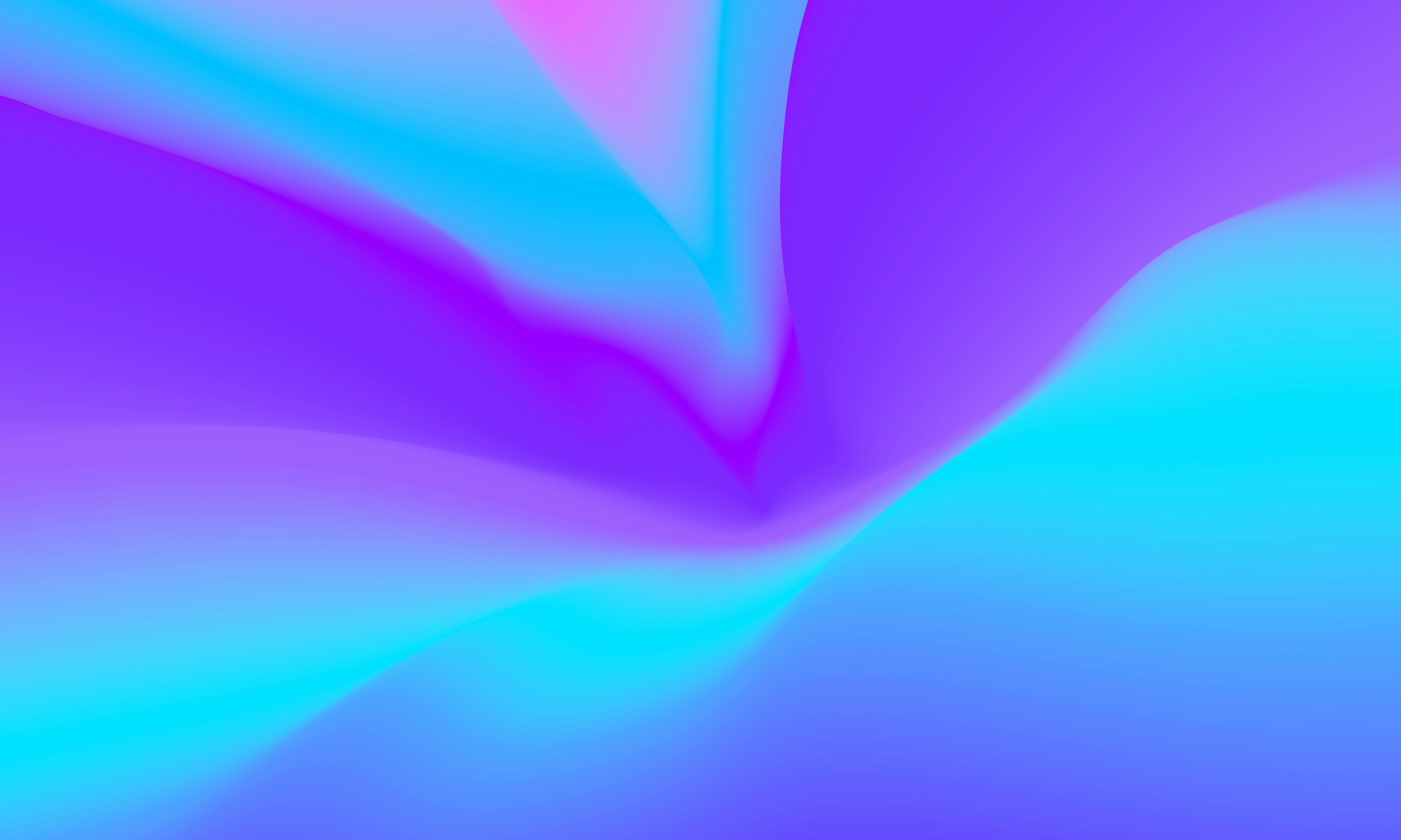 MetaRaca header image