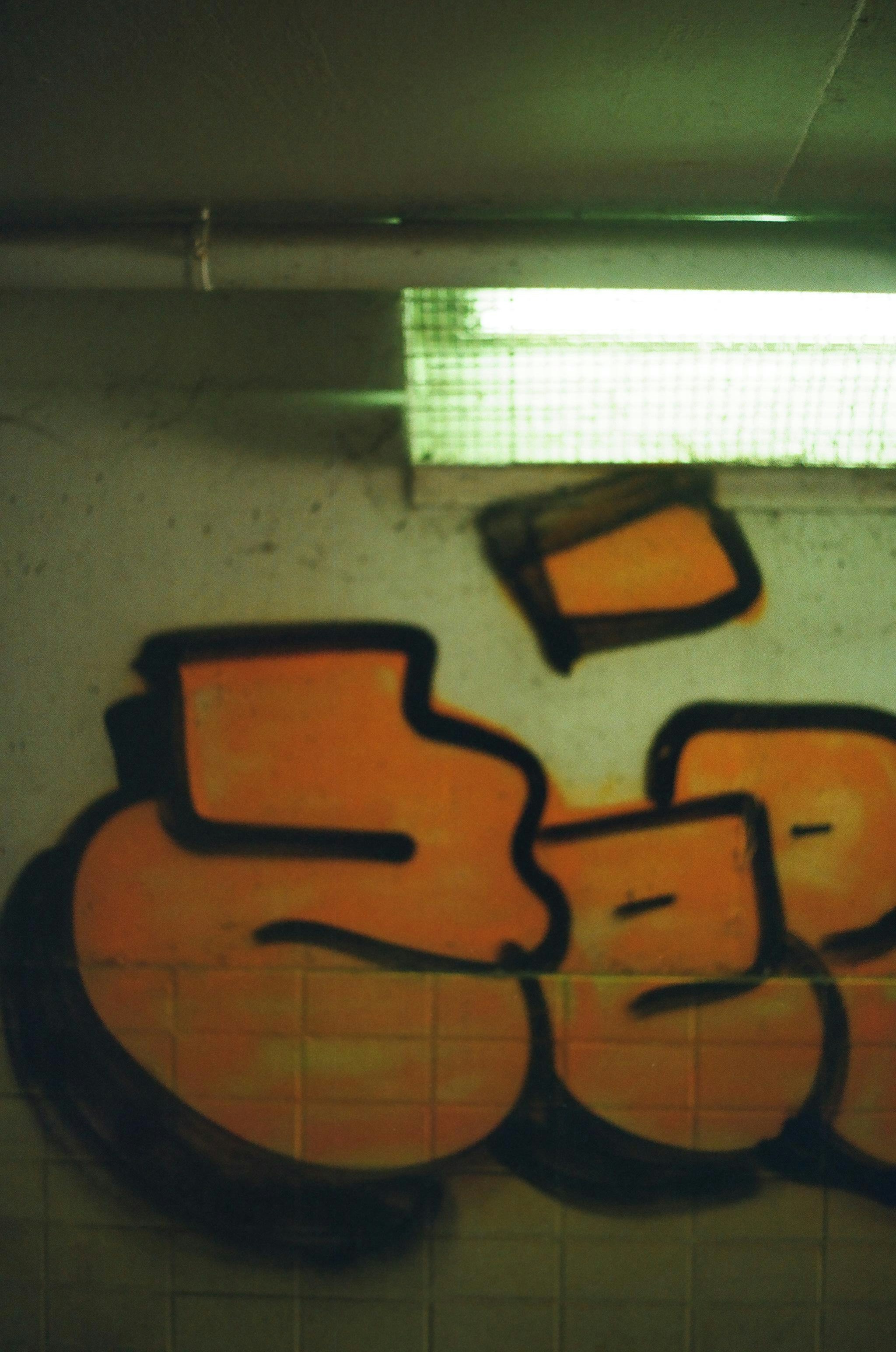 photo-1620202401392-a6799f7d8206?ixid=M3wxMjA3fDB8MXxzZWFyY2h8M3x8c2lydXA0ZHxlbnwwfHx8fDE3NTUxMDUwMzN8MA\u0026ixlib=rb-4.1.0