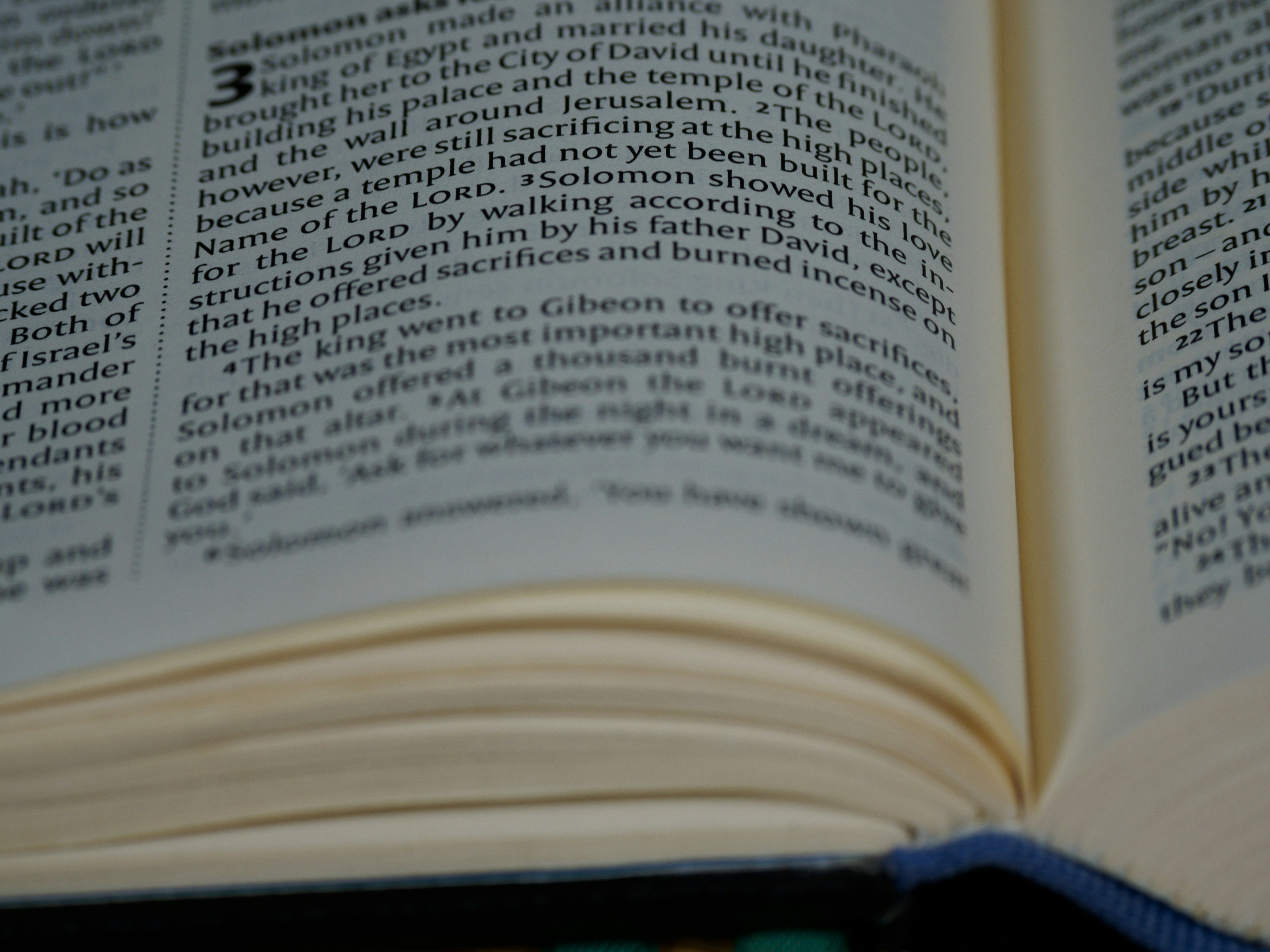 Photo by brett_jordan