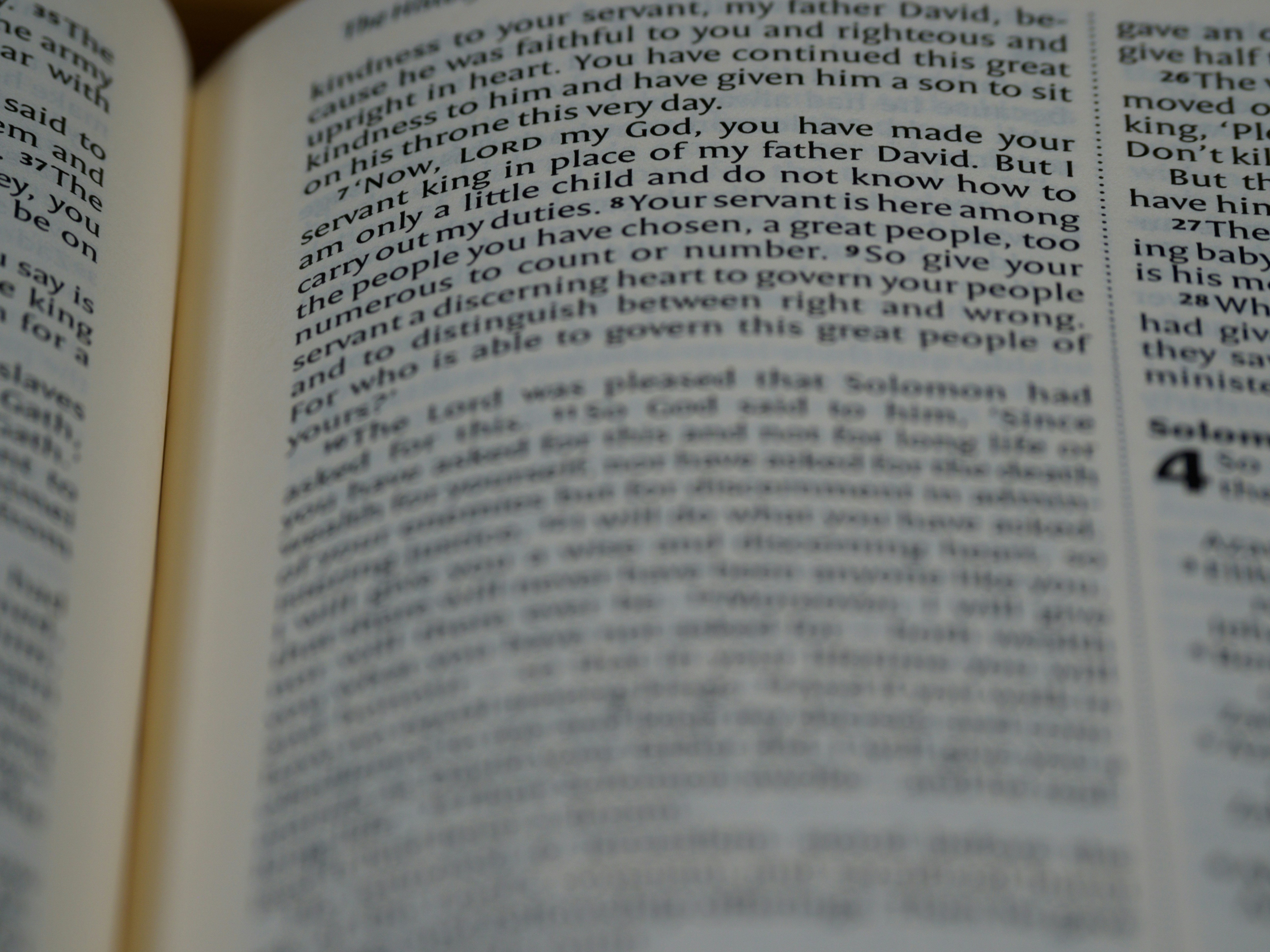 Photo by brett_jordan