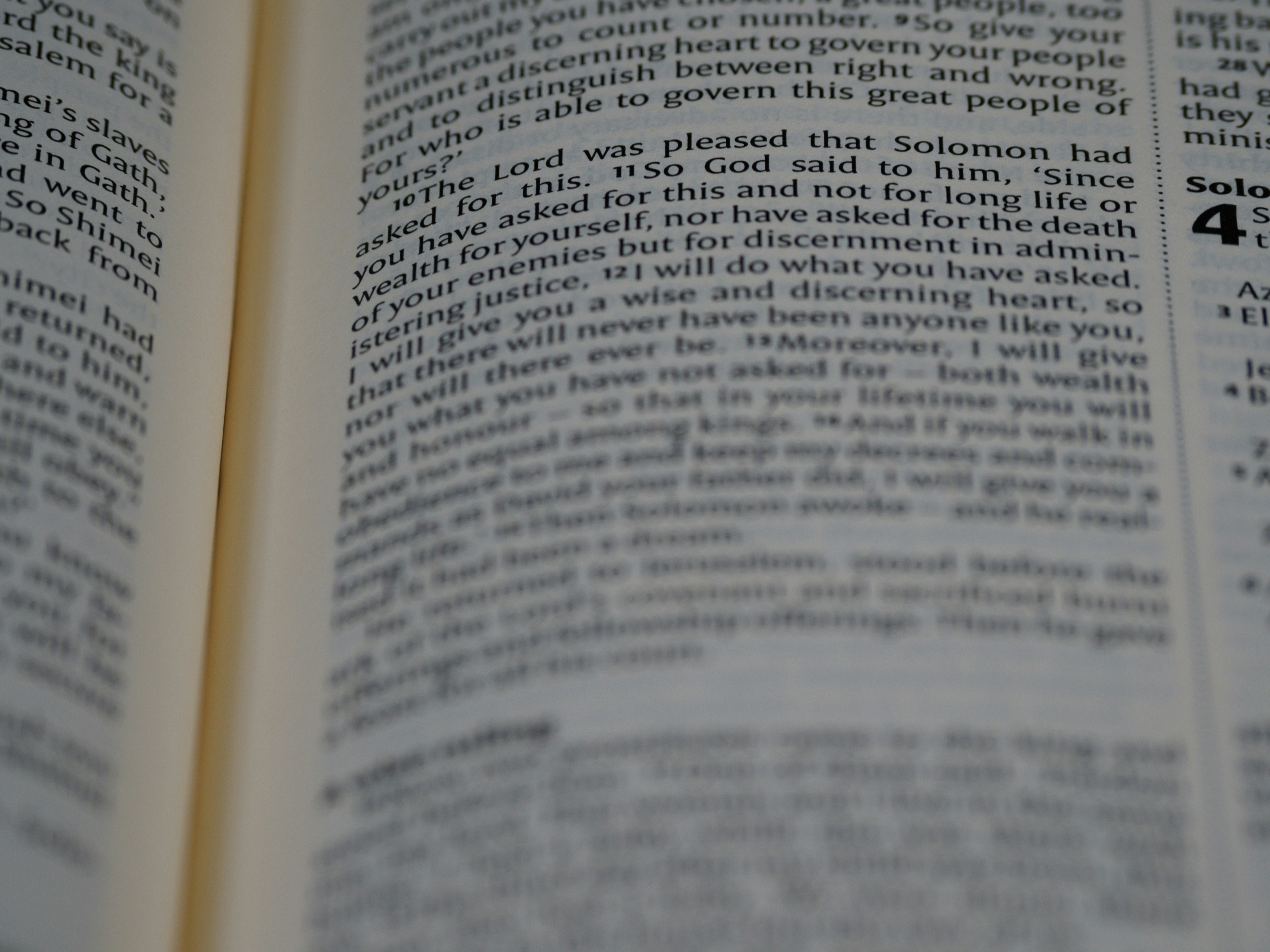 Photo by brett_jordan