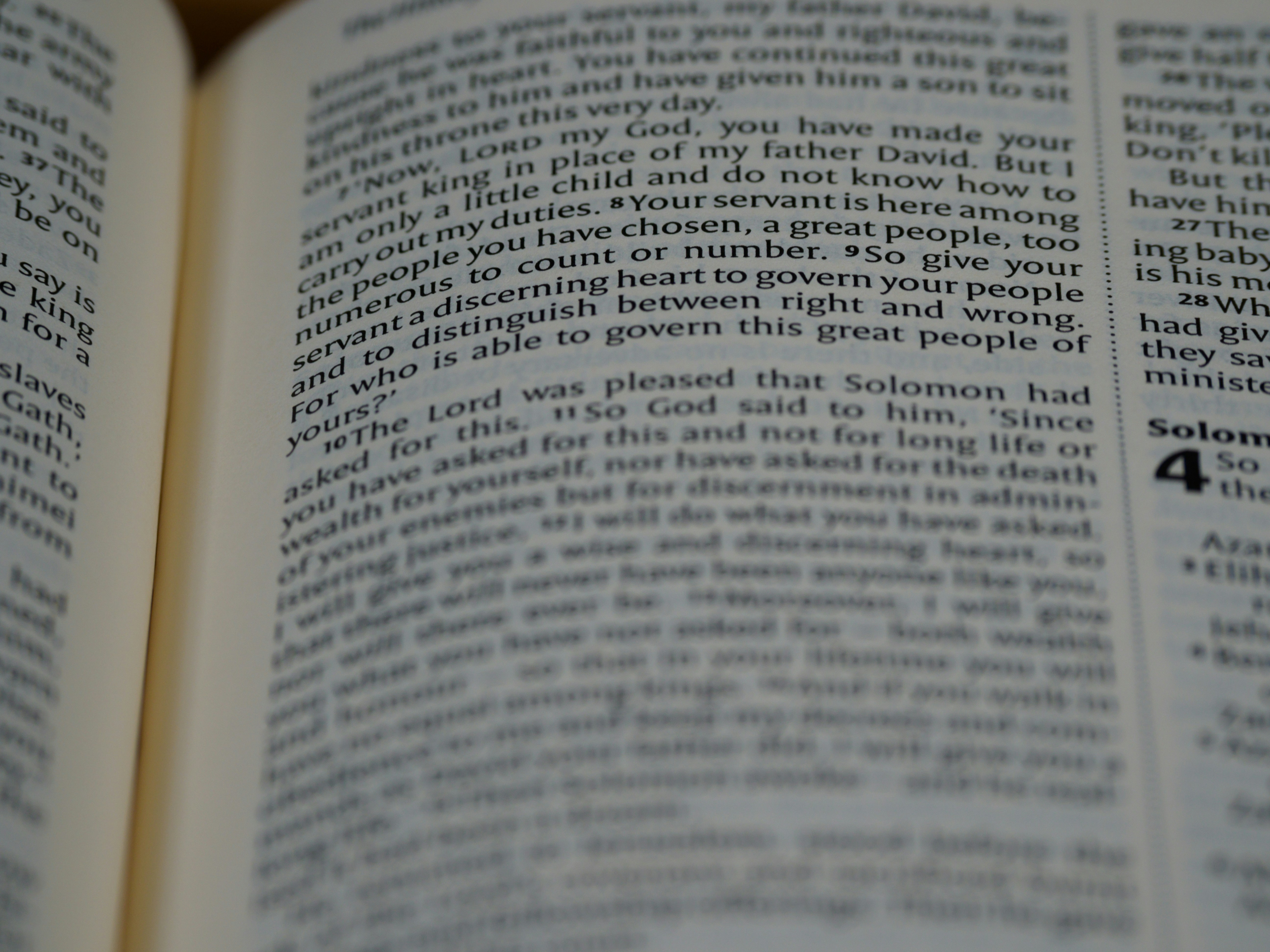 Photo by brett_jordan