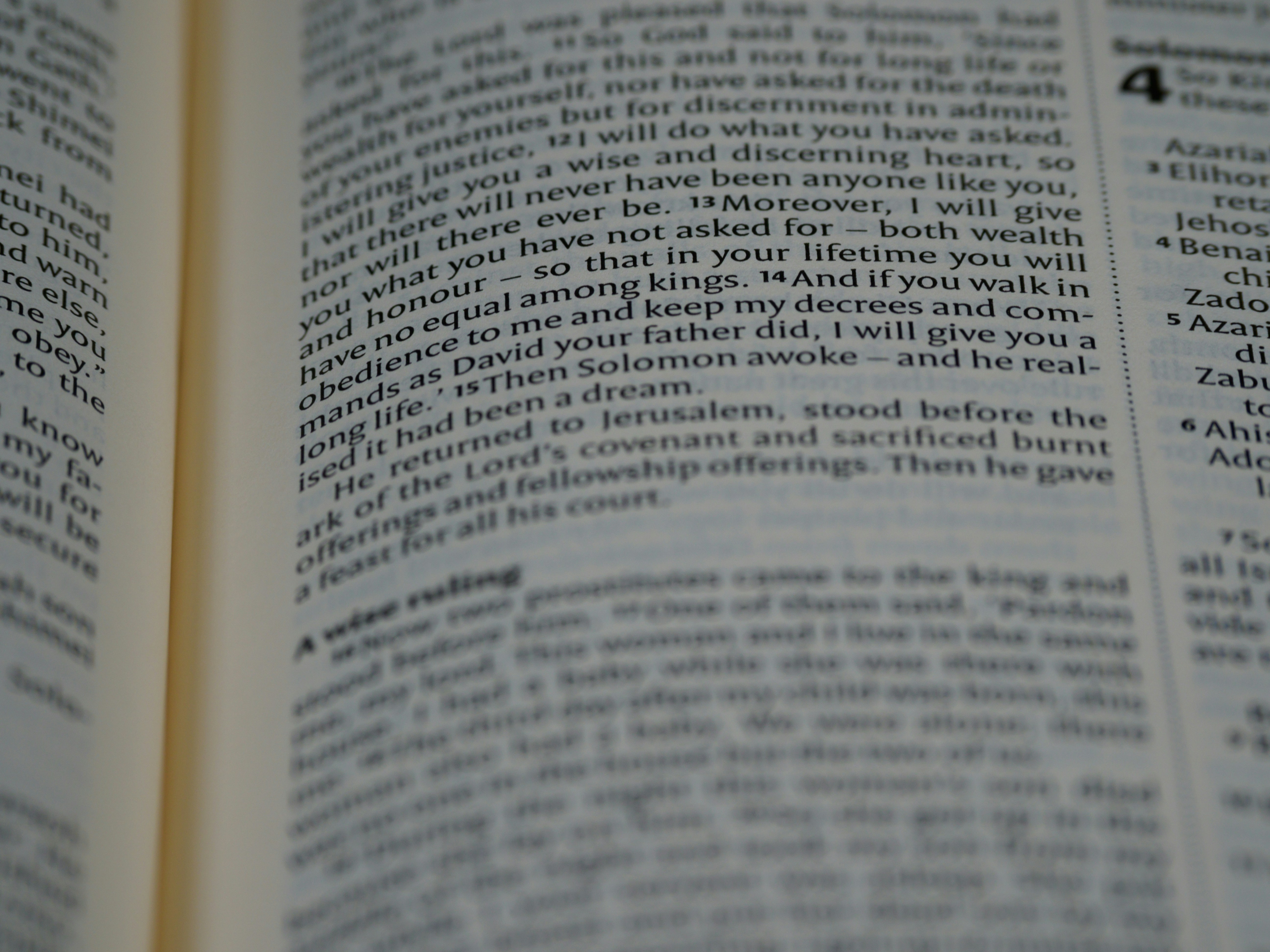 Photo by brett_jordan