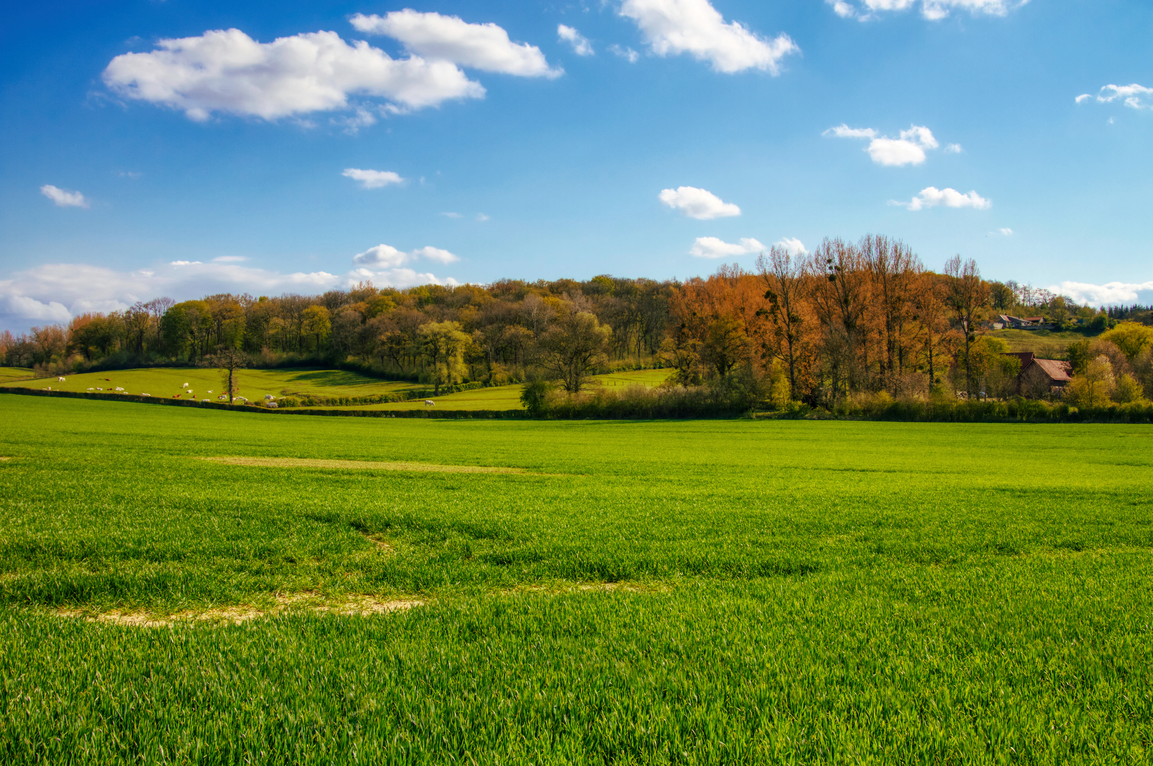 Large Residential Lots in New Hill, NC