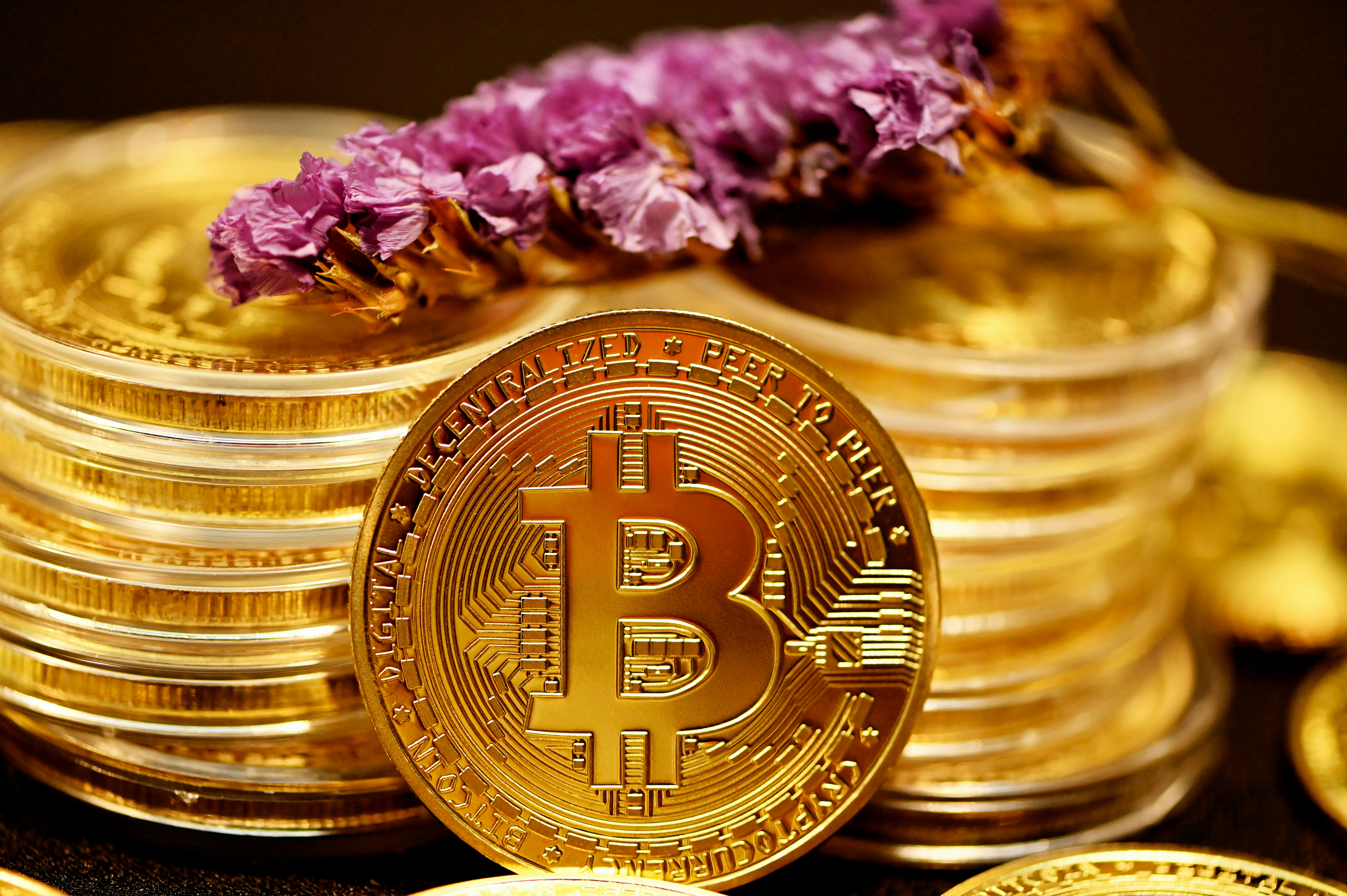 A single Bitcoin propped against two stacks of Bitcoin with a lavender flower on top.