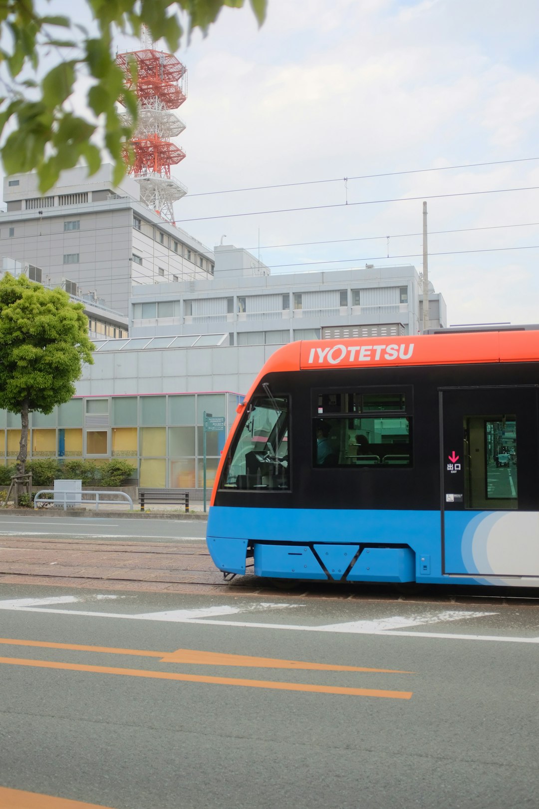 blue and white bus on road during daytime