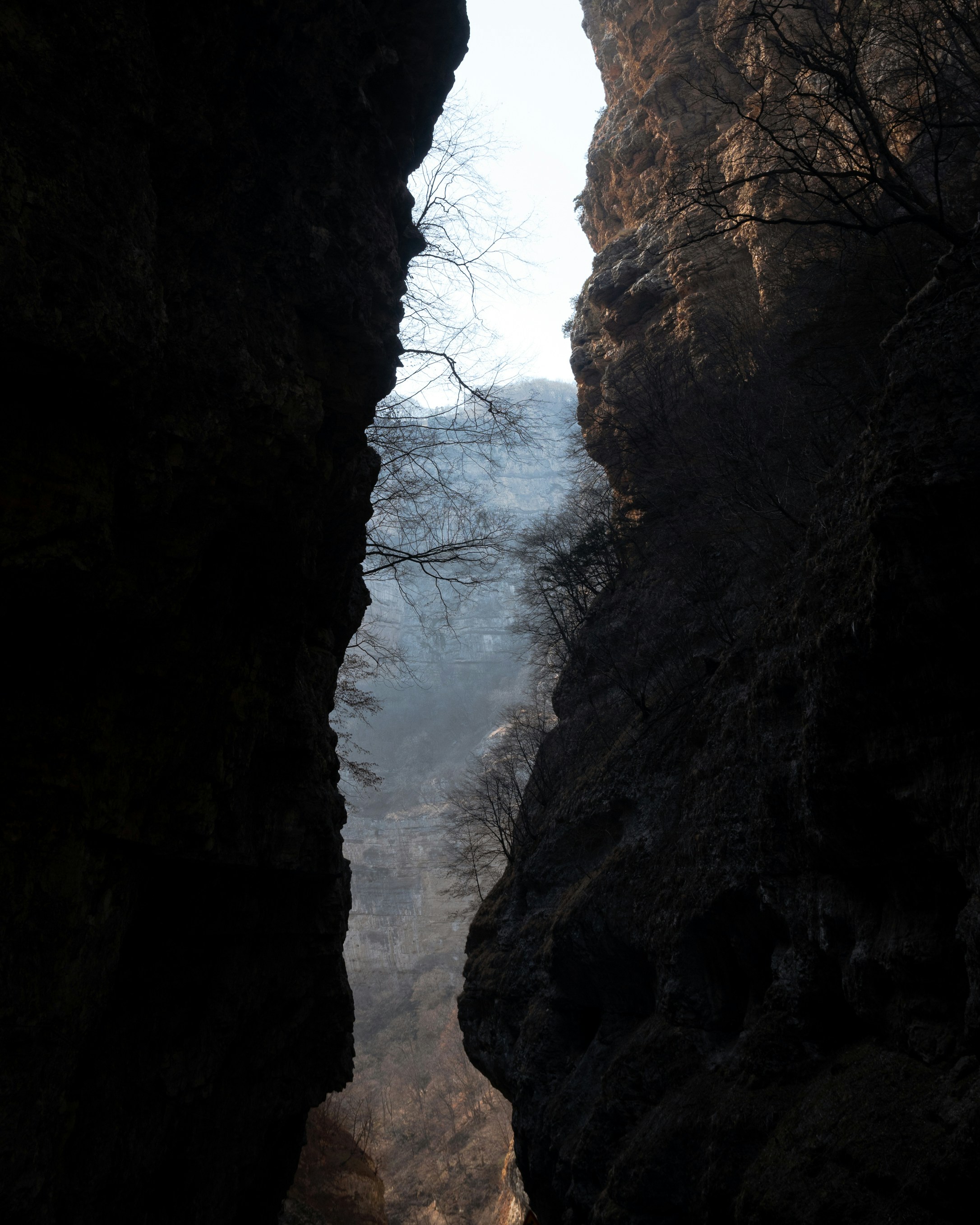 Photo by kirillpershin