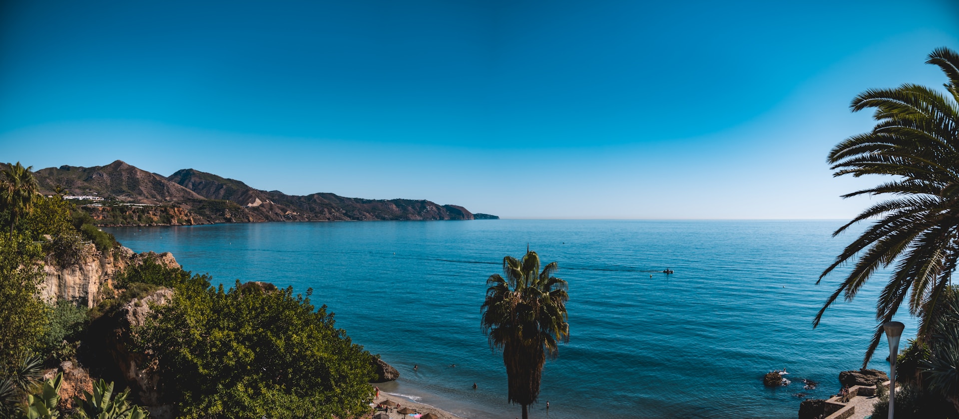 green palm tree near blue sea under blue sky during daytime