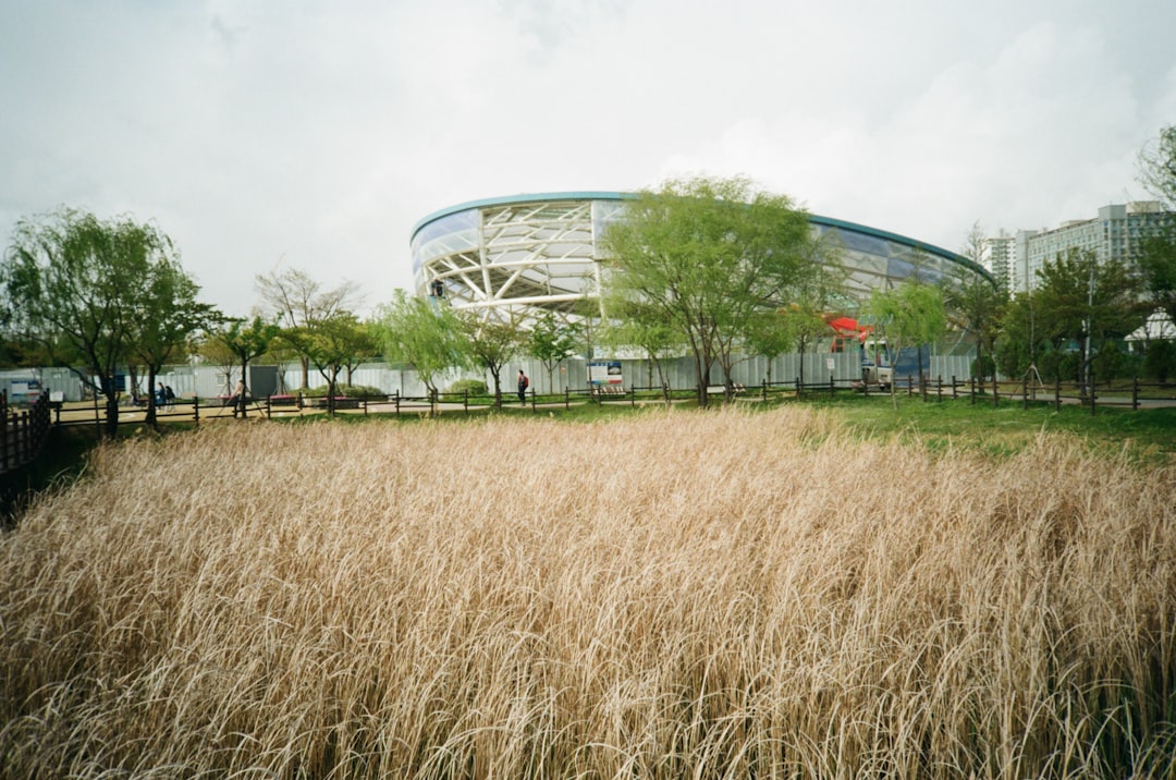 white building near brown grass field during daytime