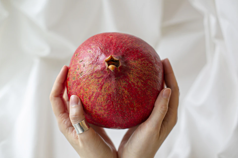 Person's hands cradle a large, round red pomegranate with a small hole at its center
