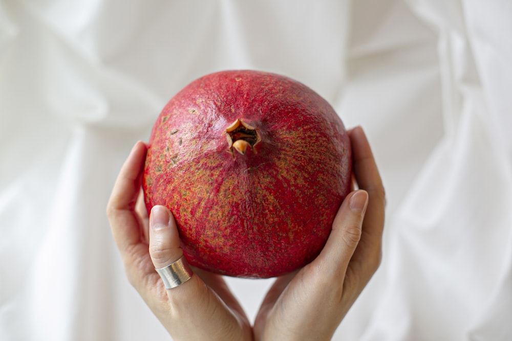 person holding red apple fruit