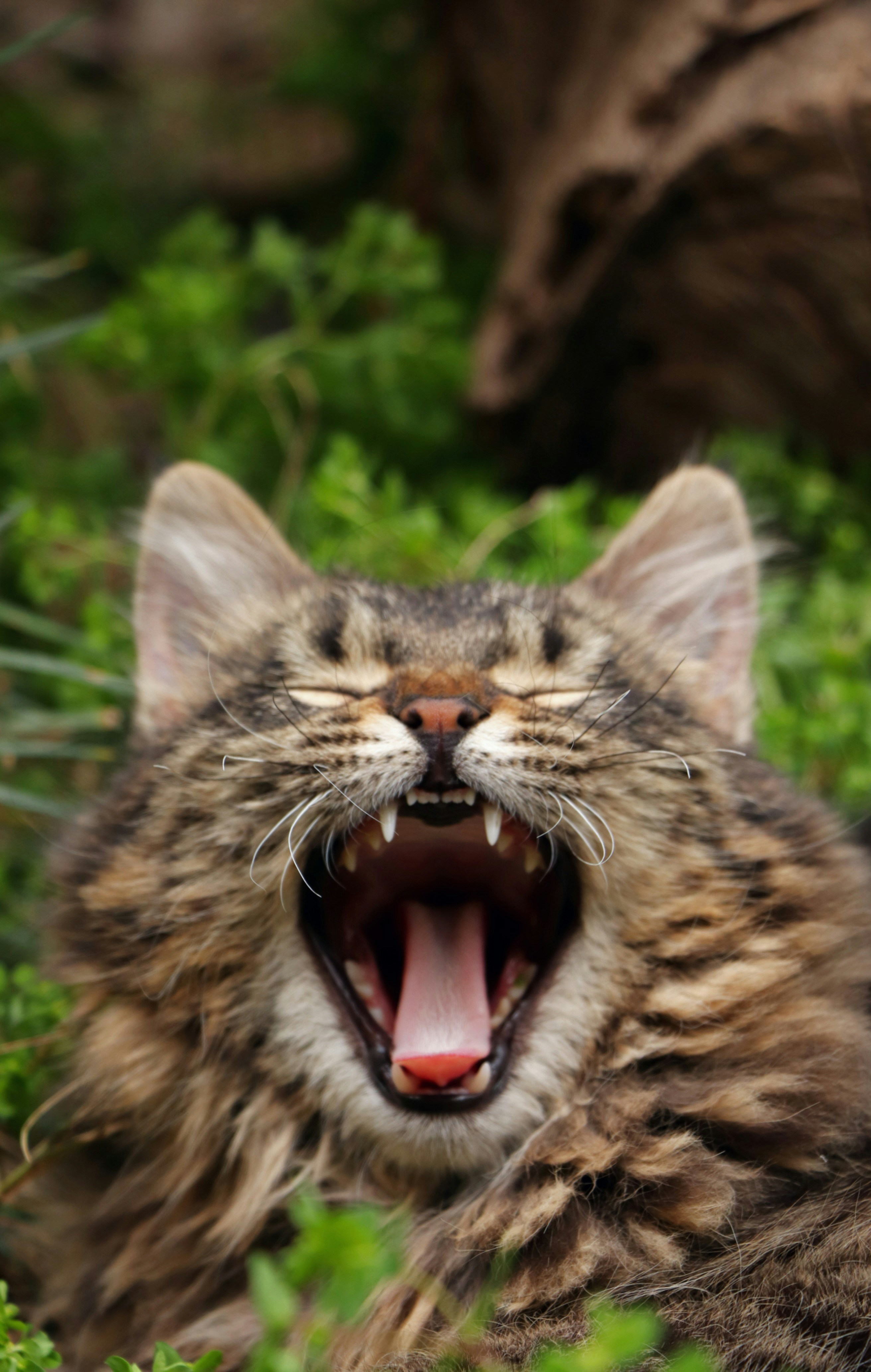 Photo by mahyar_mirghasmi