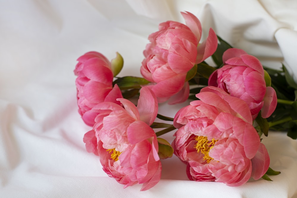 fleurs roses sur textile blanc