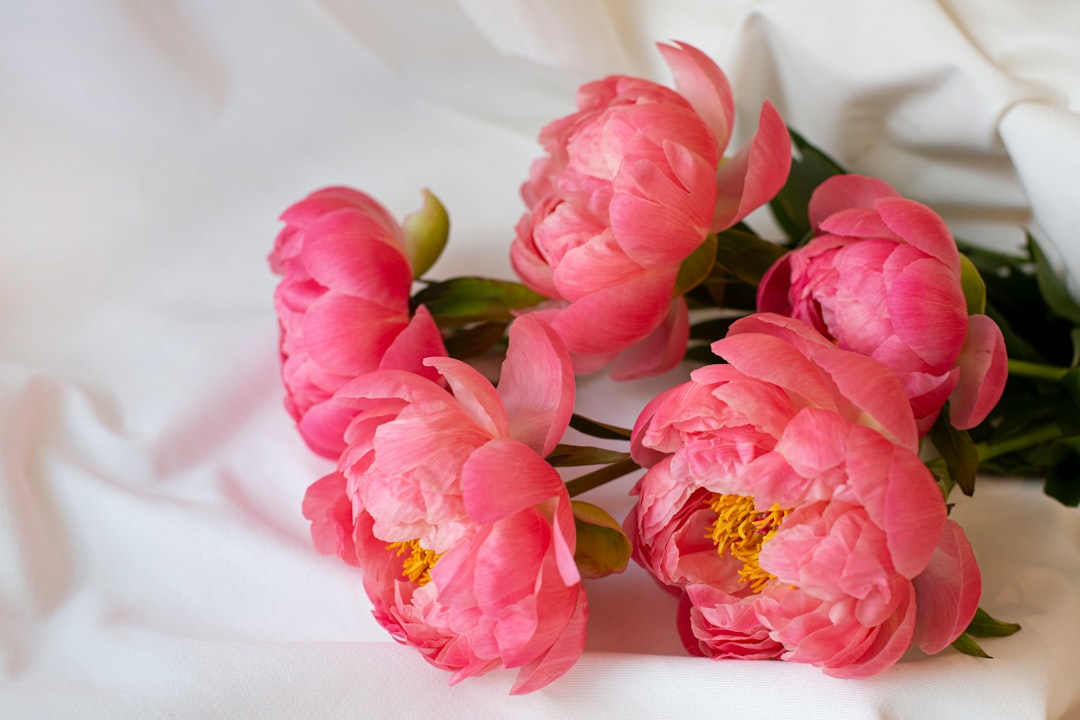 pink flowers on white textile