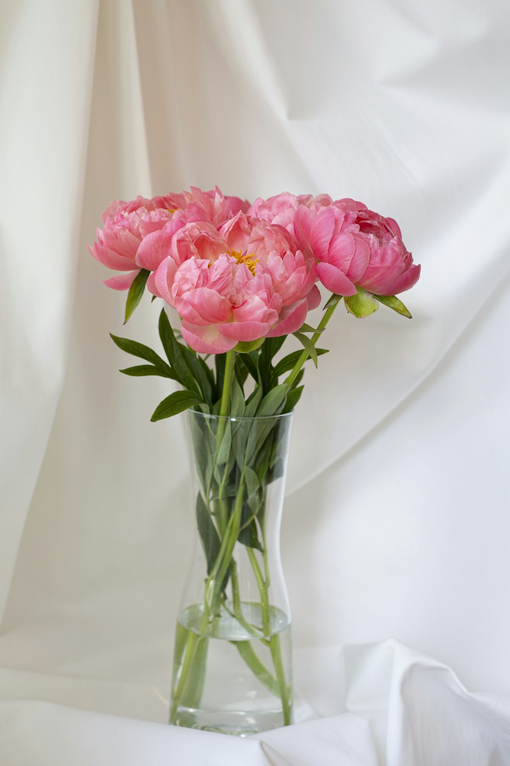 pink roses in clear glass vase