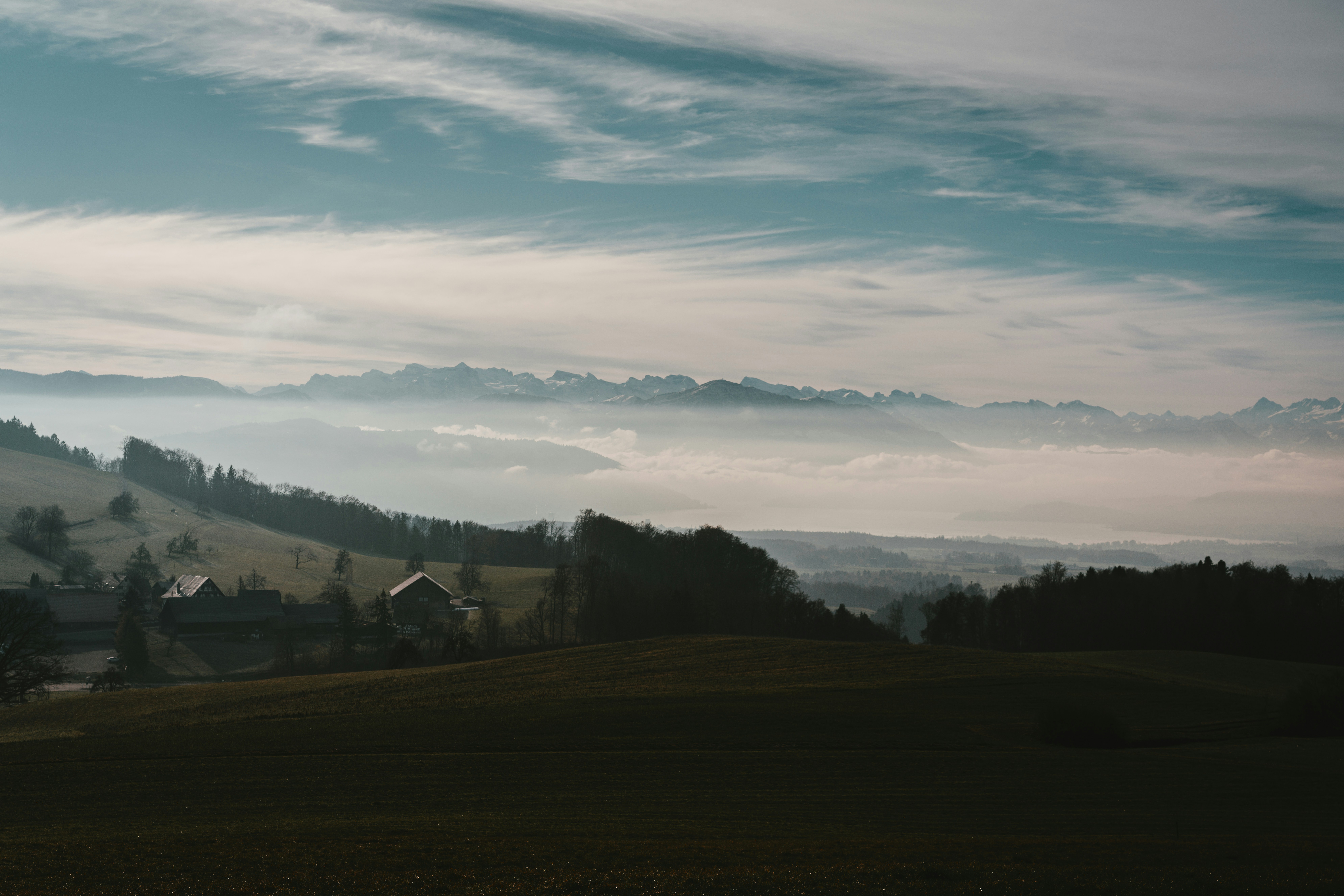 Photo by purzlbaum