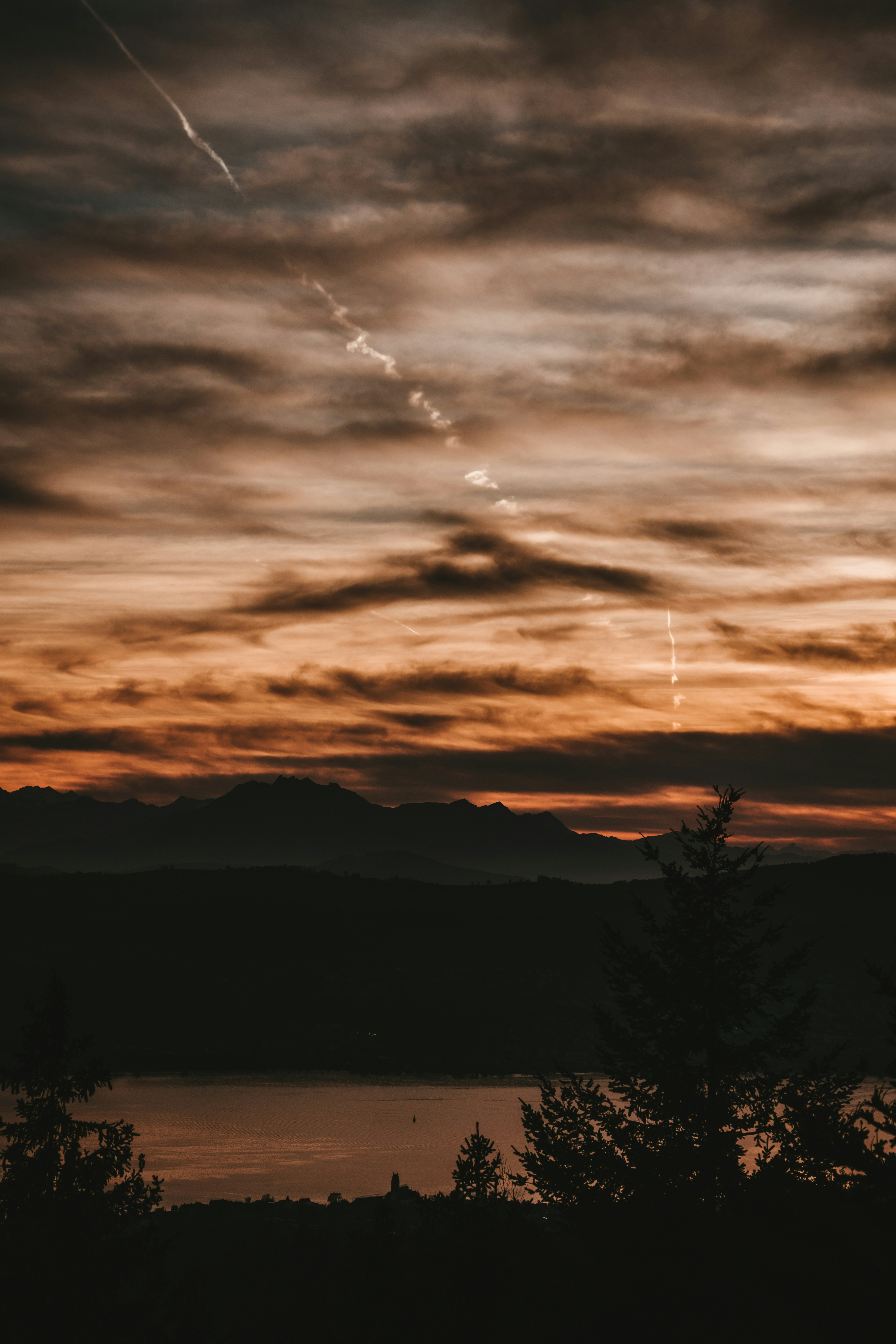 Photo by purzlbaum