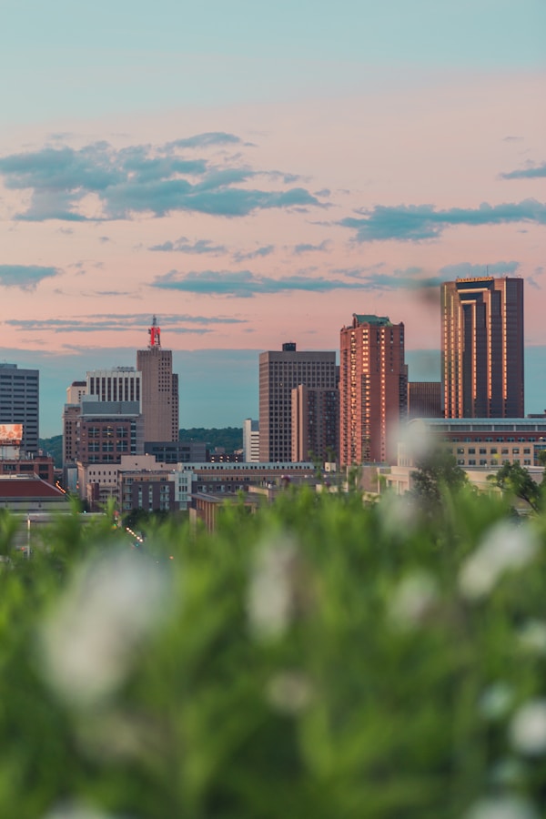 Saint-Paul's Culinary Delights: Exploring Local Dishes, Restaurants & Recipes