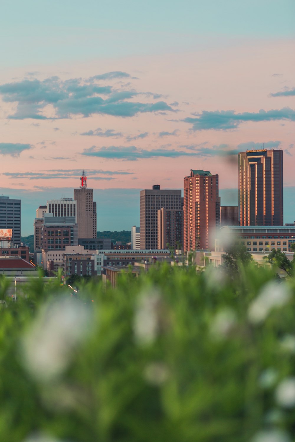 city skyline under blue sky during daytime