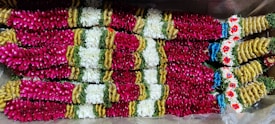 A colorful arrangement of garlands made with fresh flowers. The garlands predominantly feature vibrant pink and deep red flowers, interspersed with sections of white flowers. There are accents of gold and small blue and red decorative elements strategically placed throughout the design, adding to the aesthetic appeal.