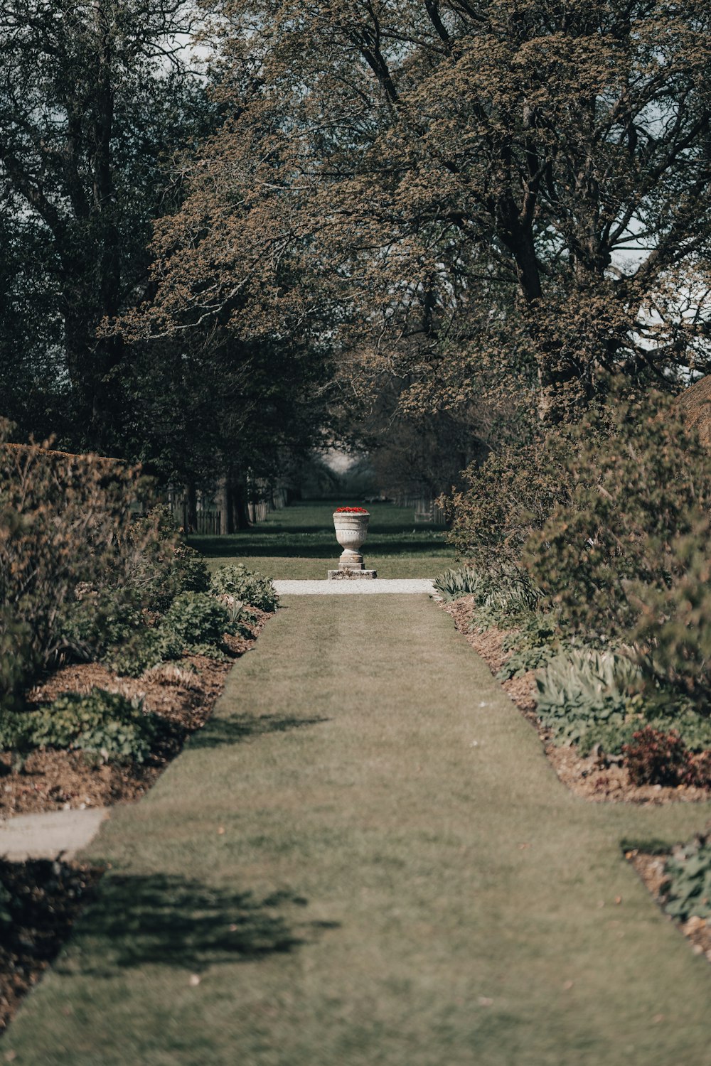 green grass pathway between trees during daytime