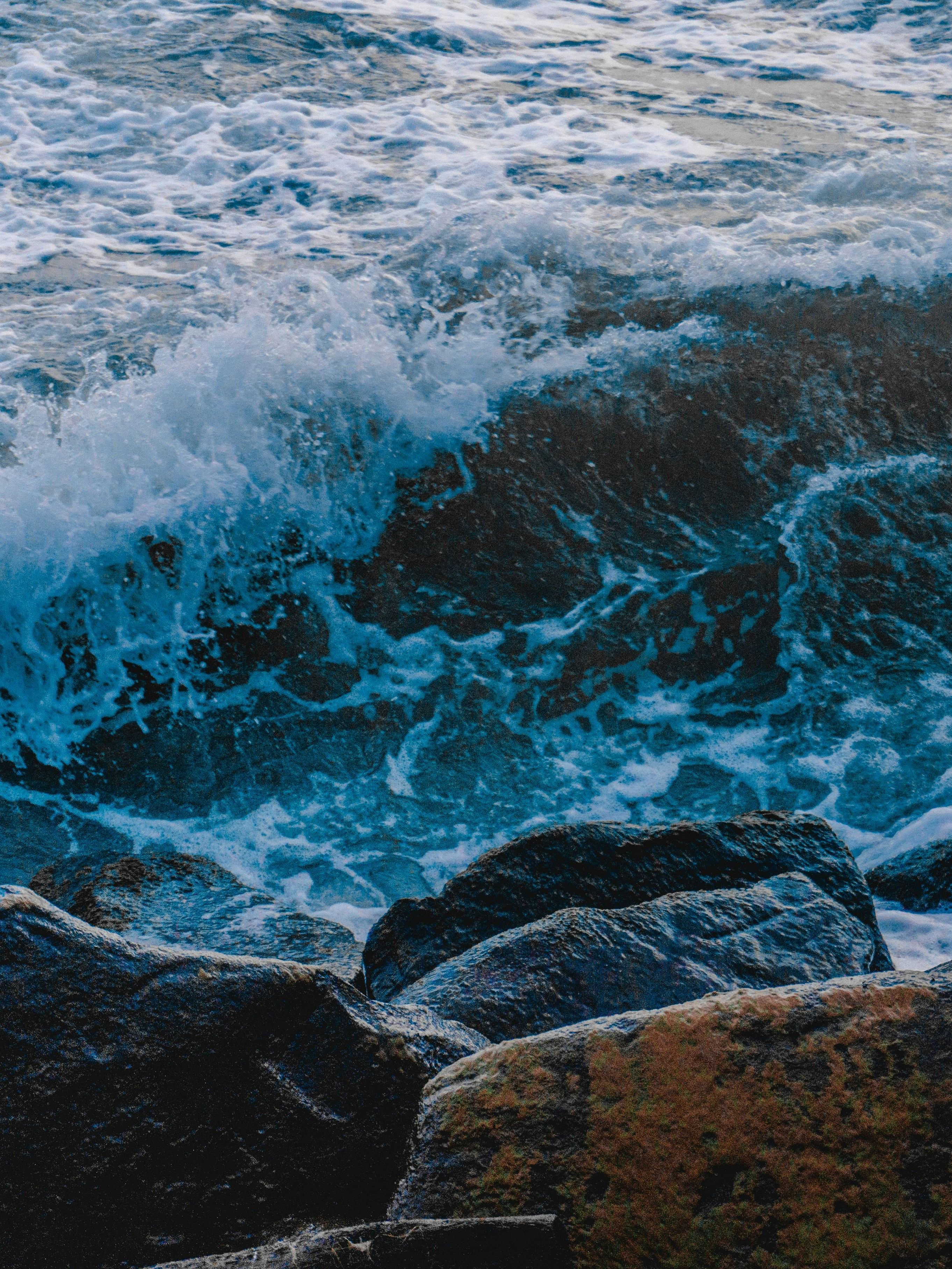 Photo by awan_project