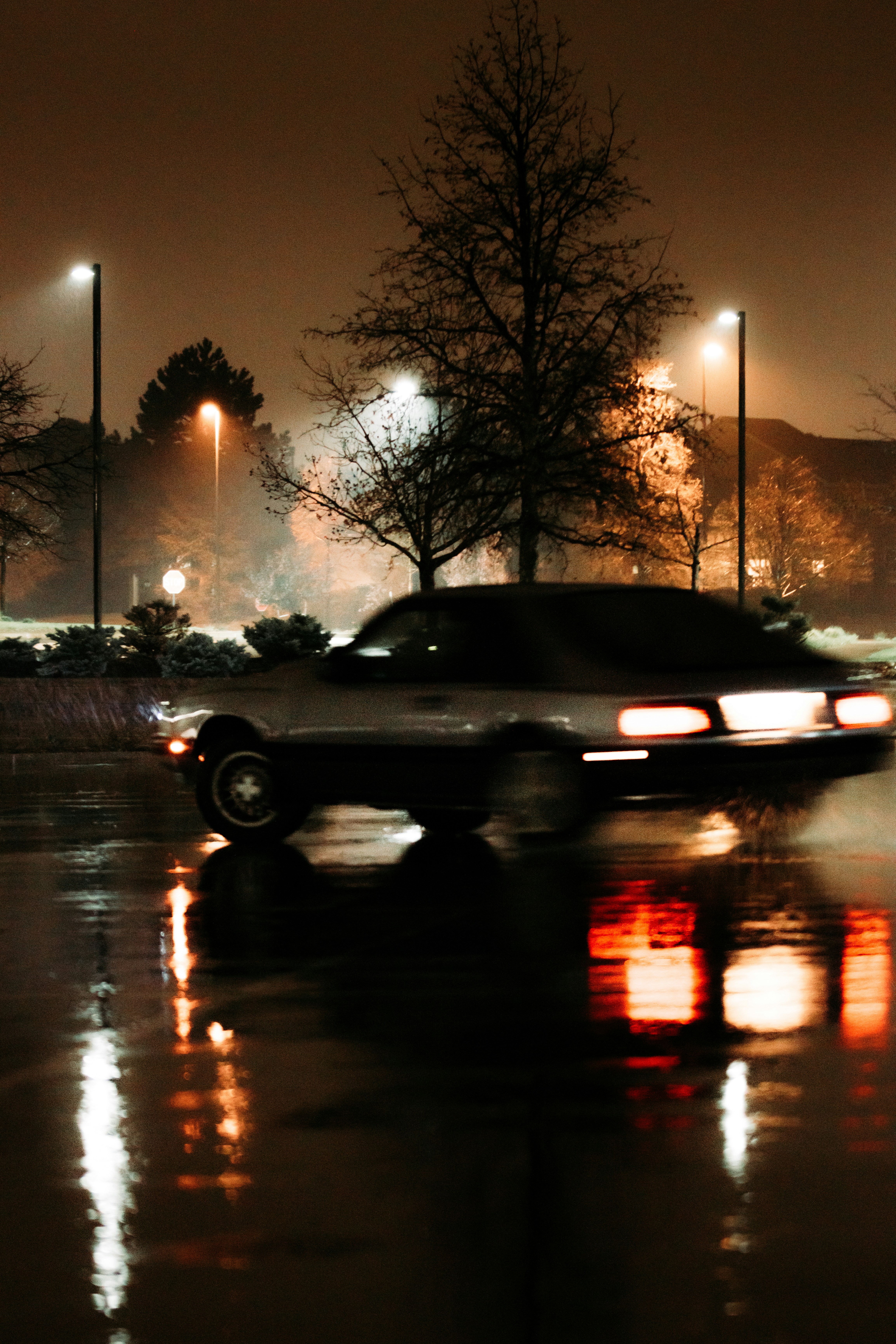 Photo by jakobnoahrosen