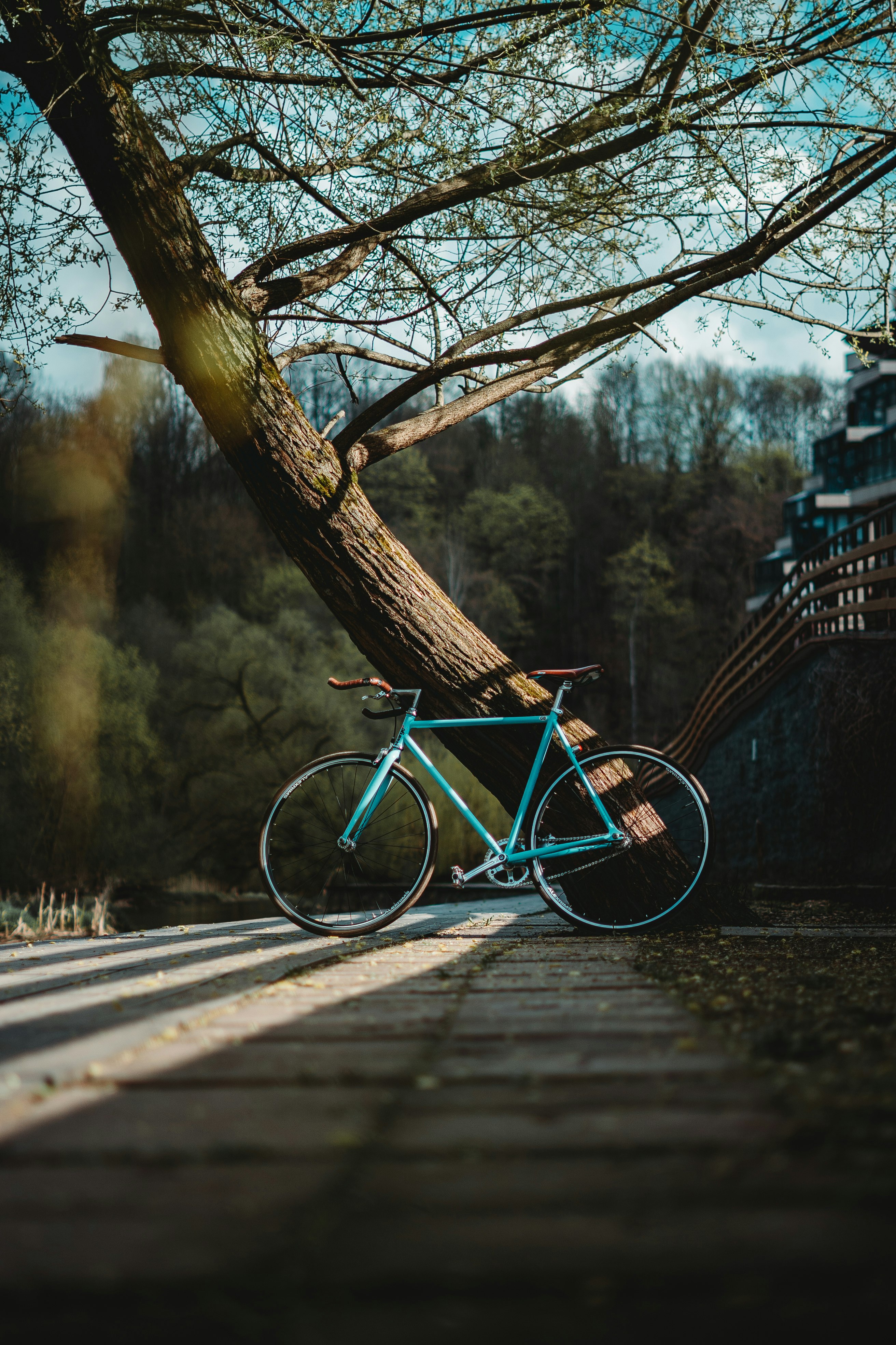 blue city bike on wooden bridge