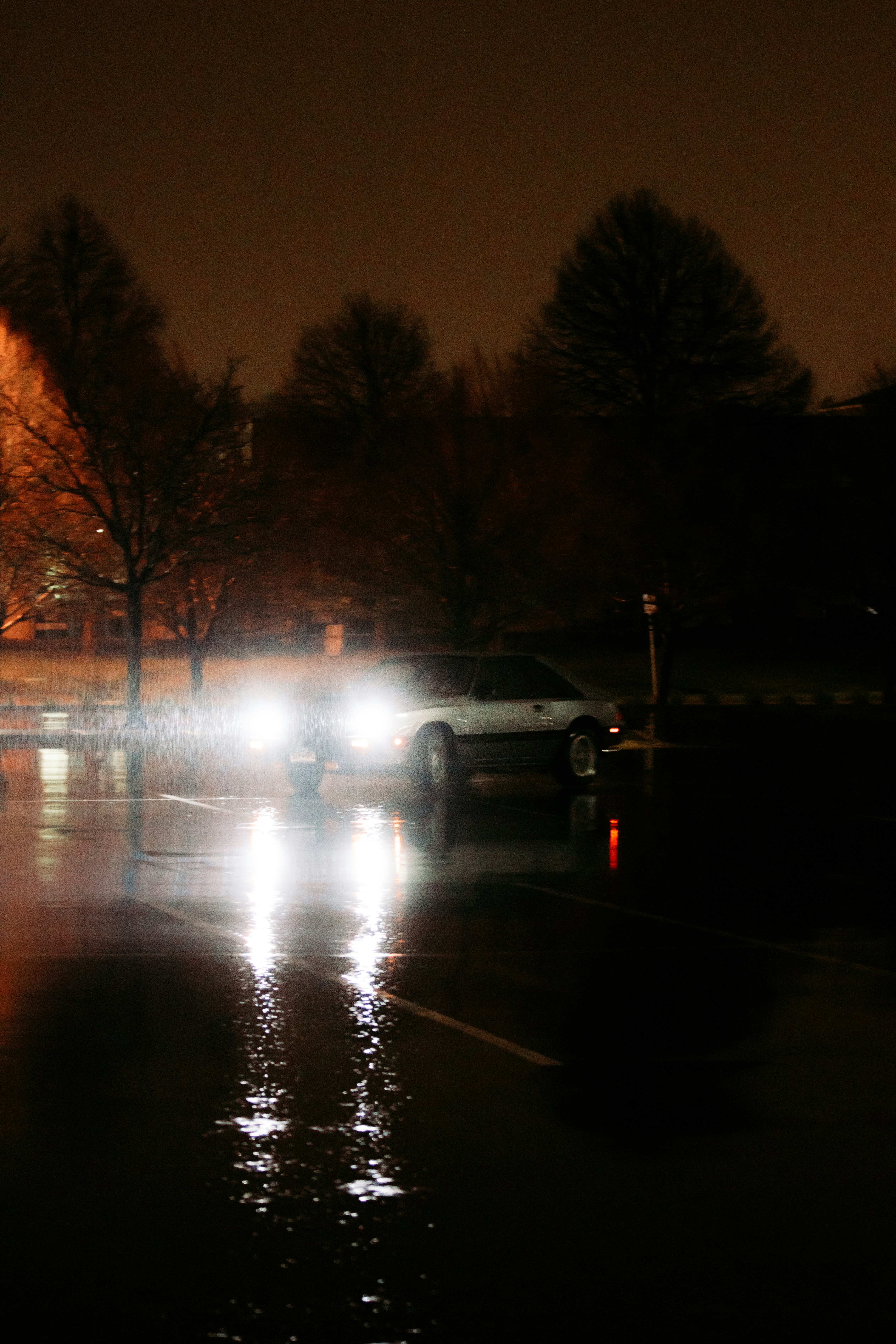 Photo by jakobnoahrosen