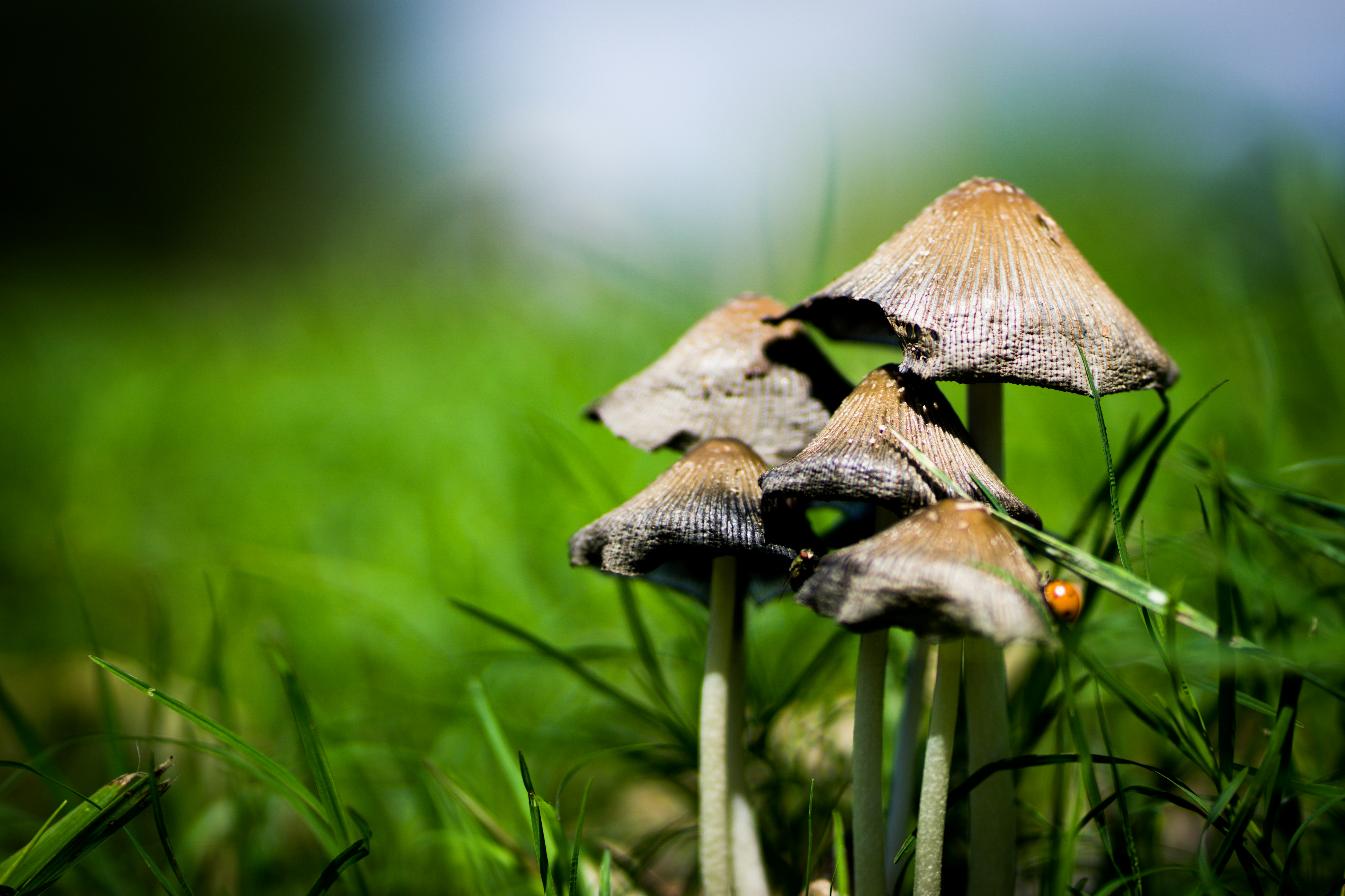 Photo by zacharyl123