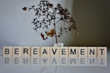 A dried and leafless small tree is placed in a small white pot. Below the tree, letter blocks spell out the word 'BEREAVEMENT' and their reflection is visible on the surface beneath them.