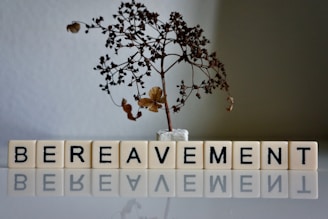 A dried and leafless small tree is placed in a small white pot. Below the tree, letter blocks spell out the word 'BEREAVEMENT' and their reflection is visible on the surface beneath them.