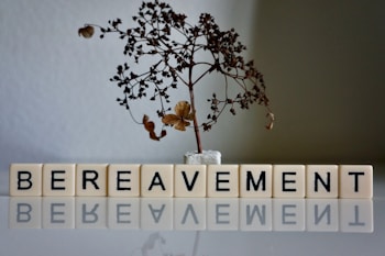 A dried and leafless small tree is placed in a small white pot. Below the tree, letter blocks spell out the word 'BEREAVEMENT' and their reflection is visible on the surface beneath them.