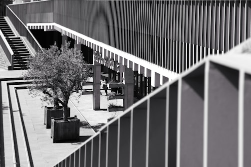 A black and white image showcasing an architectural scene with modern linear design elements, including a balcony or terrace lined with vertical beams. The area features staircases to the left and potted trees, adding an element of nature to the concrete setting.