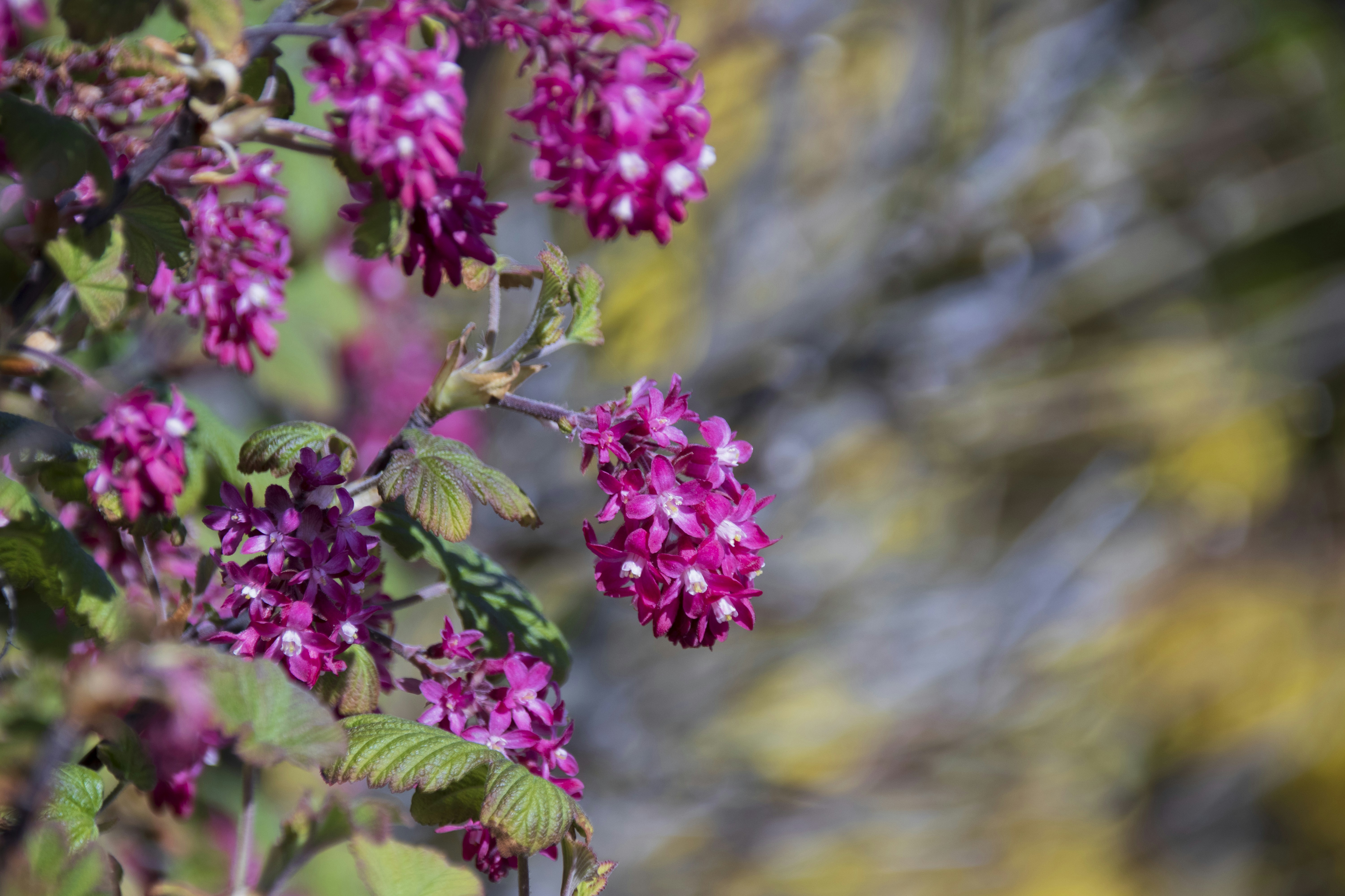 Photo by thestarryme