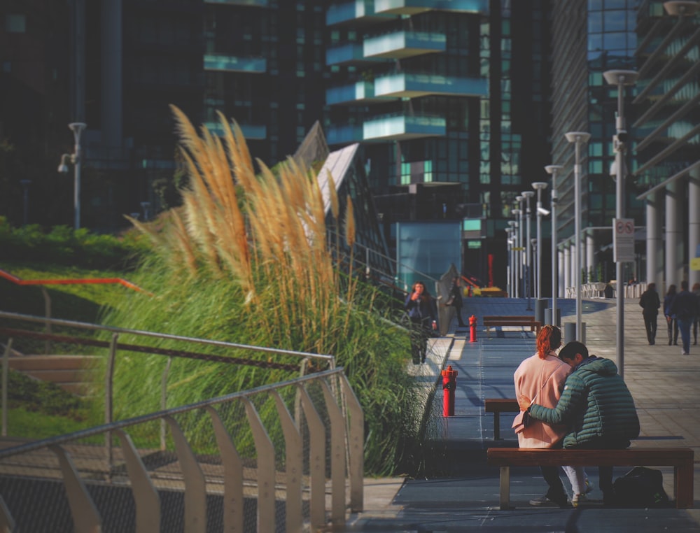 man and woman sitting on bench near green palm tree during daytime