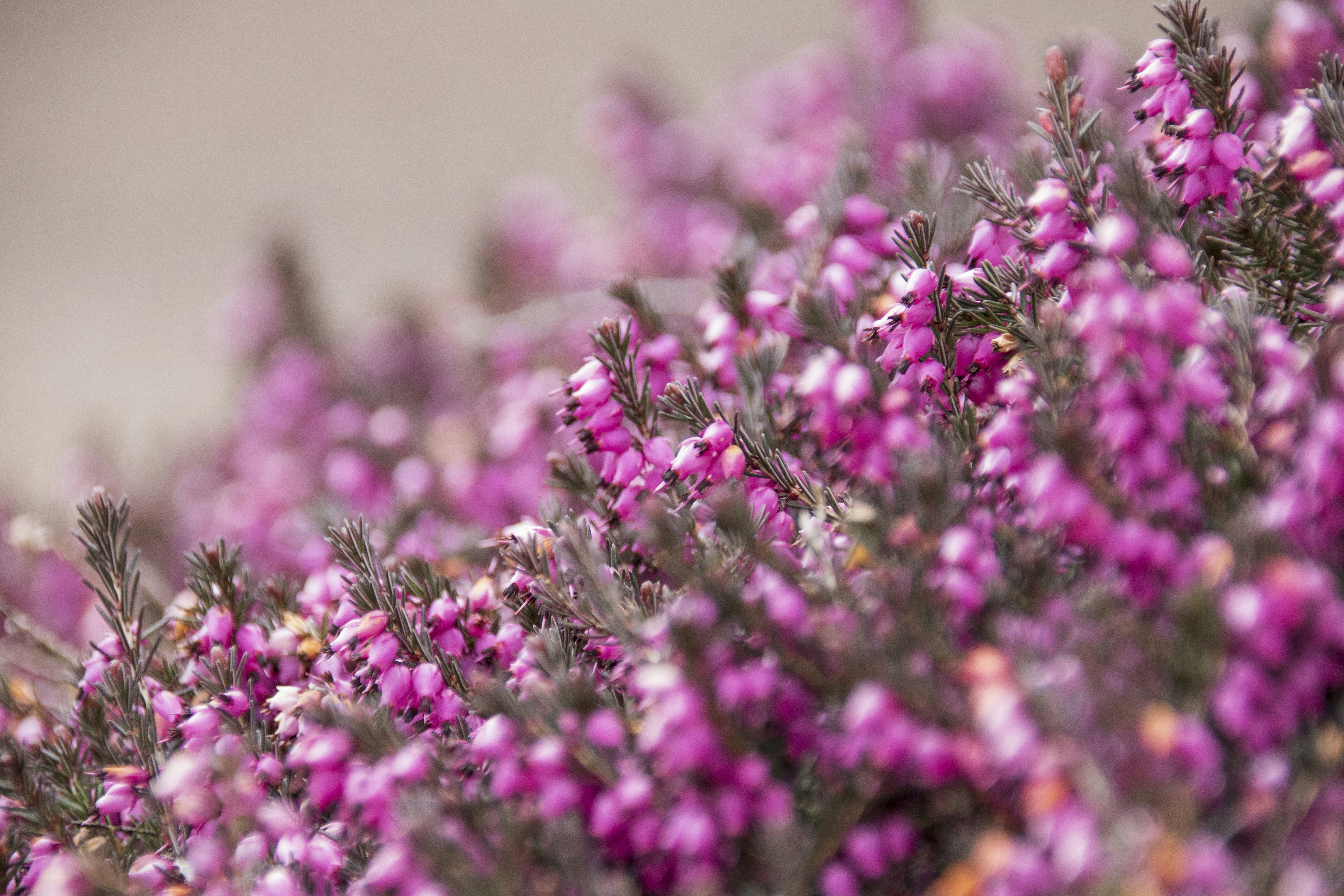 Photo by thestarryme