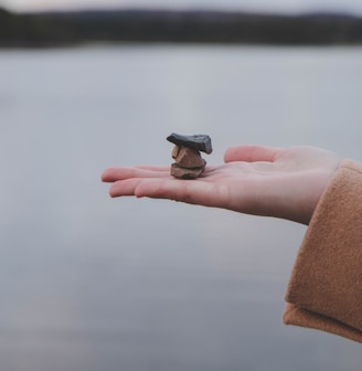 person holding black plastic tool