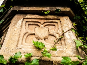 An intricately carved stone with a symmetrical, floral-like design, partially covered with greenery and vines growing around the edges. The surface appears weathered and aged, adding a historical or rustic element to the scene.
