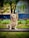A happy dog sitting obediently next to its owner in a park.