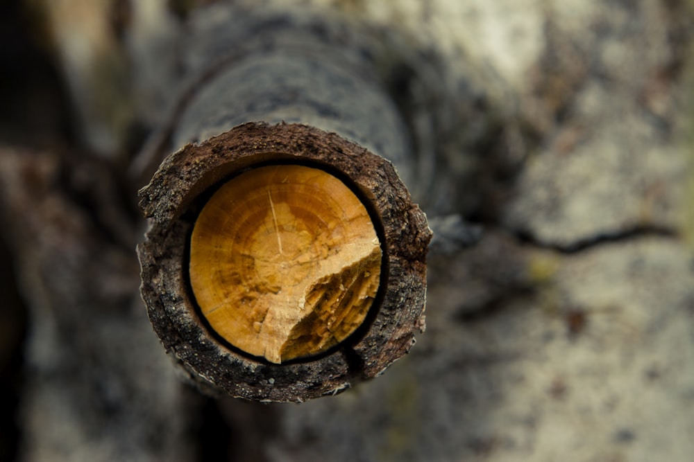 brown wooden round ornament in close up photography