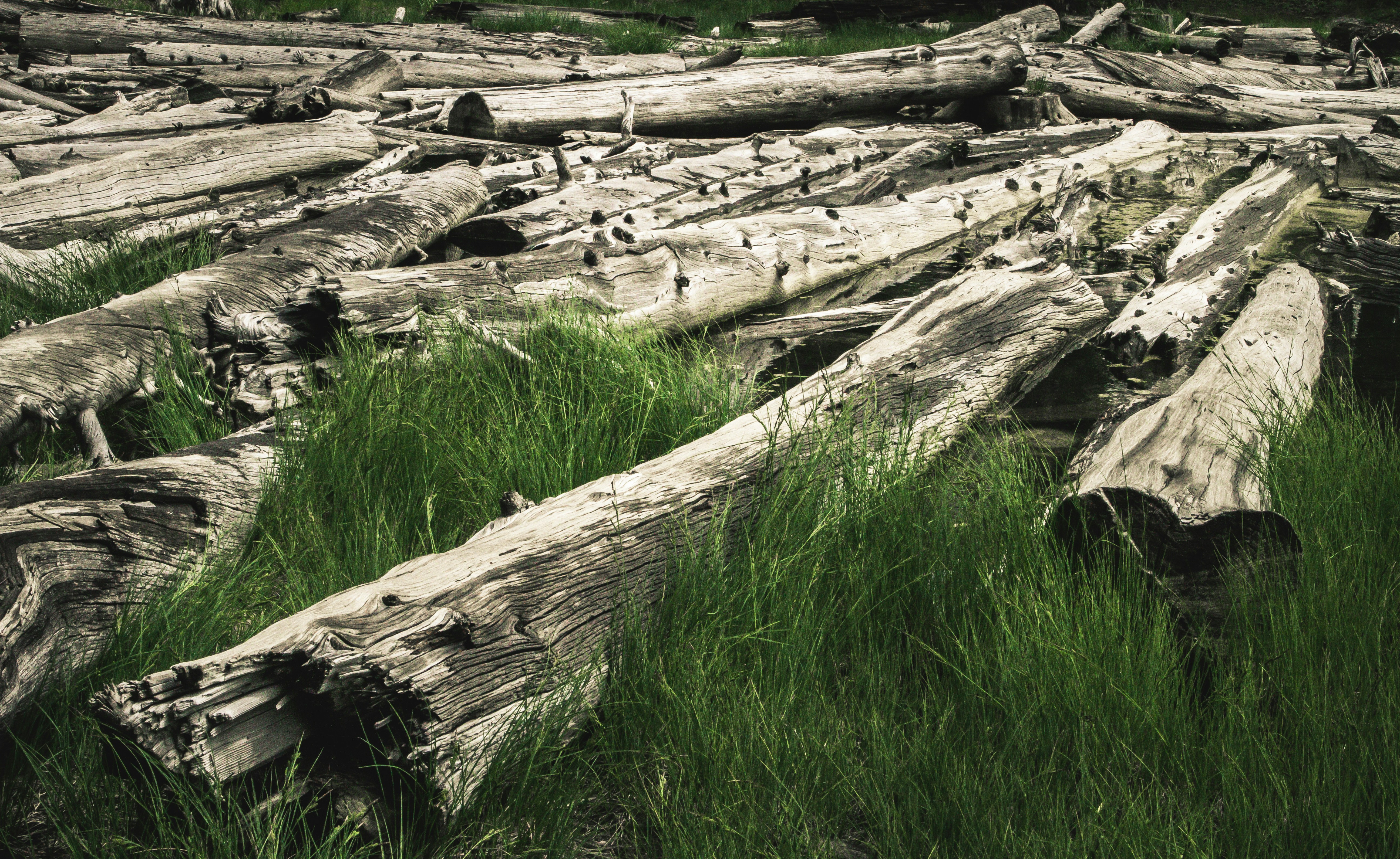 Photo by joetography