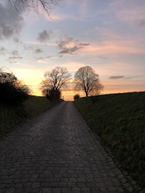 An inspiring landscape showing a path made of bricks leading to a bright horizon.