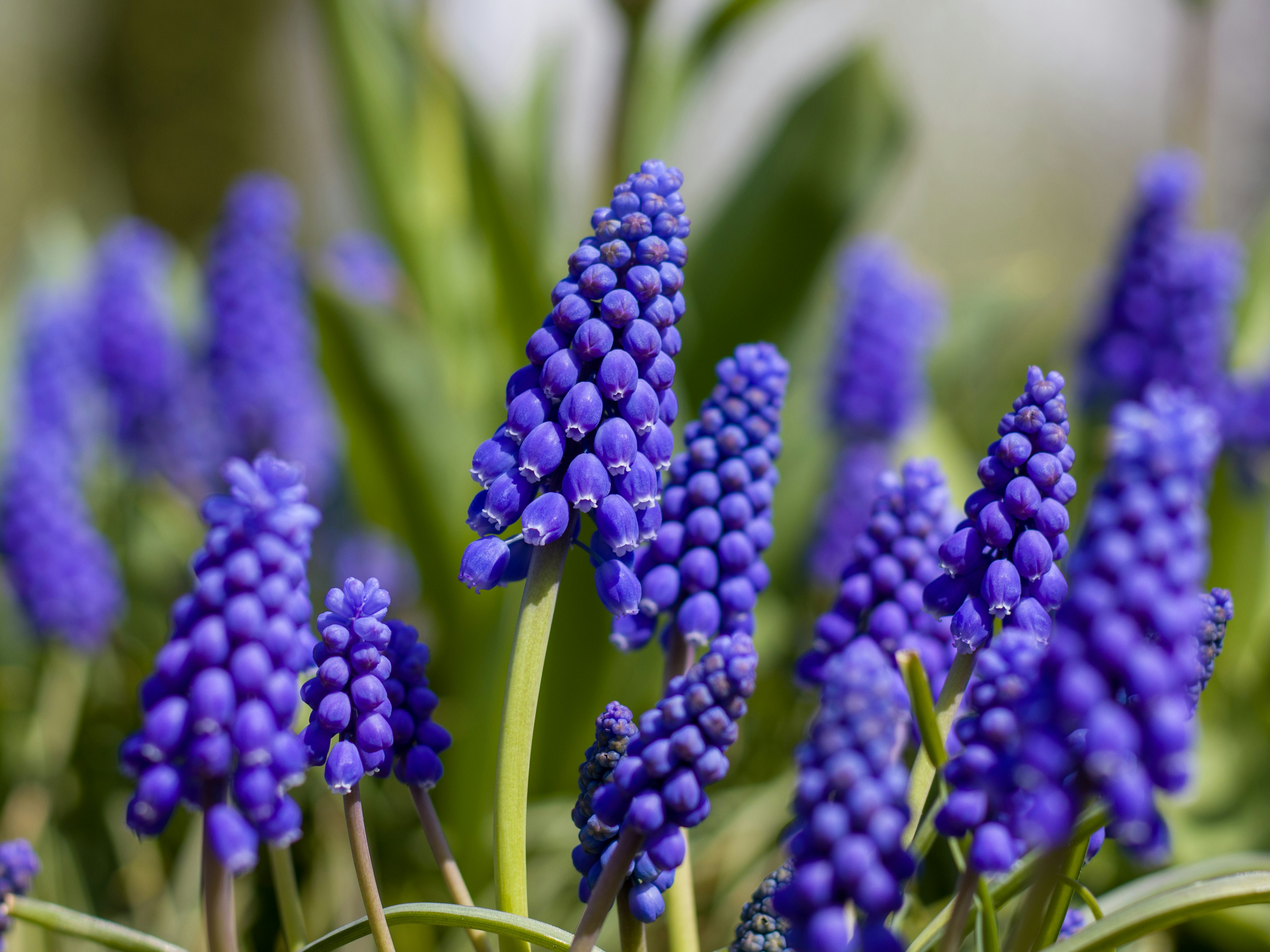 Photo by uin84917798