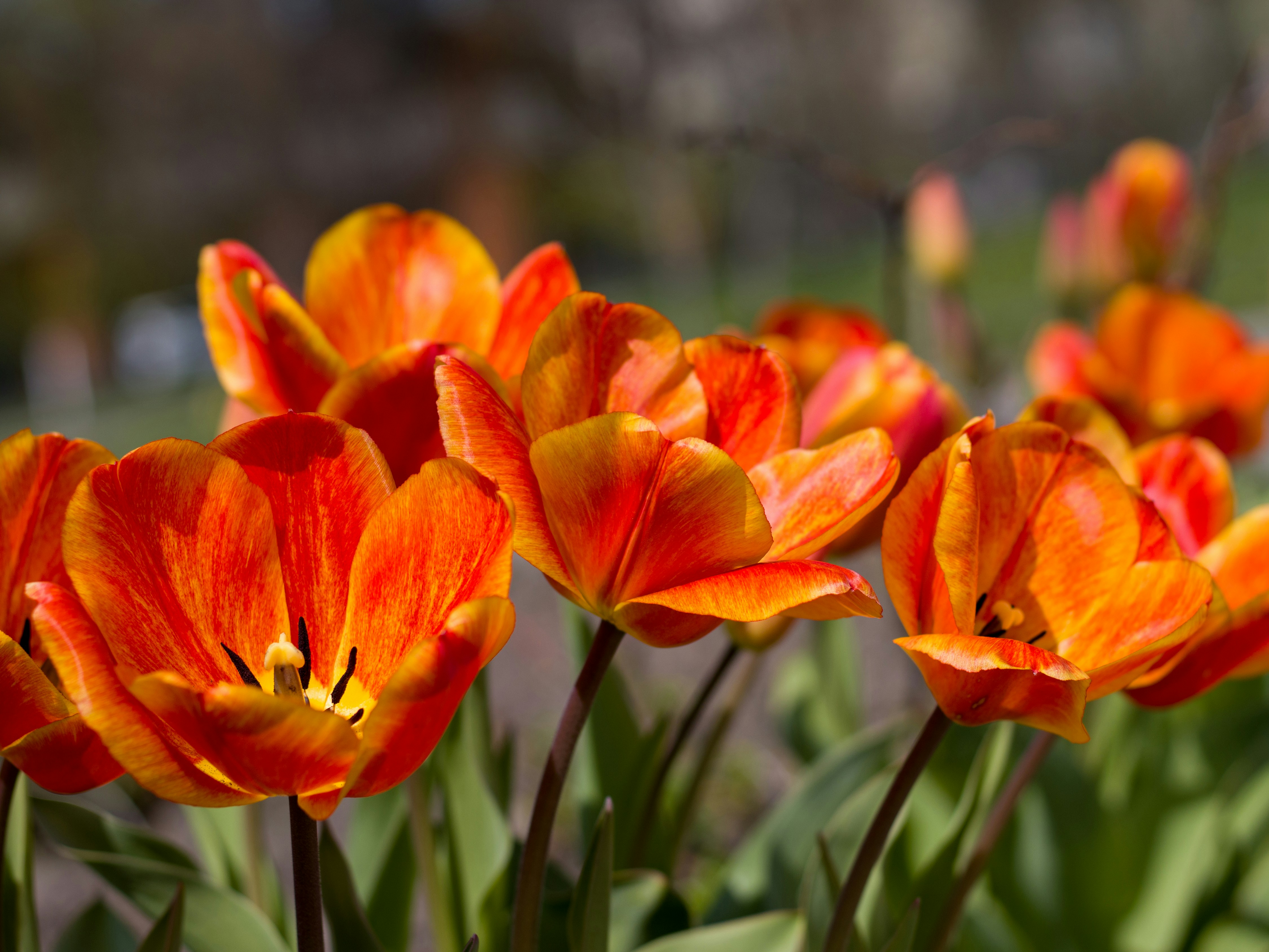 Photo by uin84917798