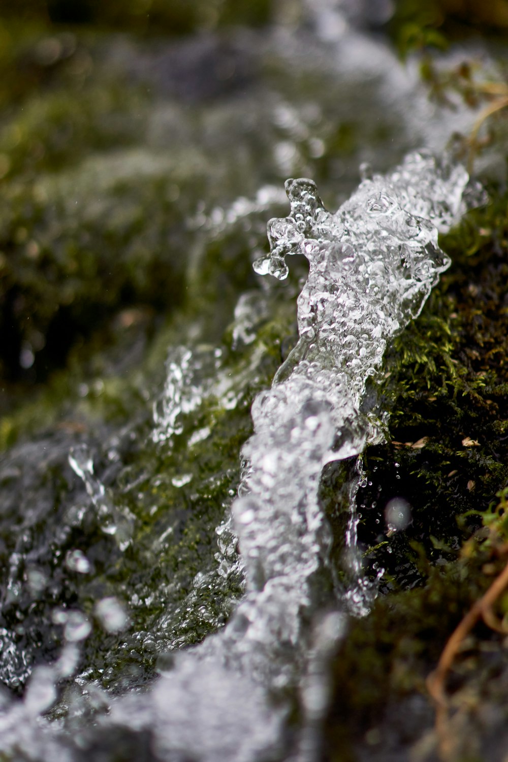 water falling on green moss