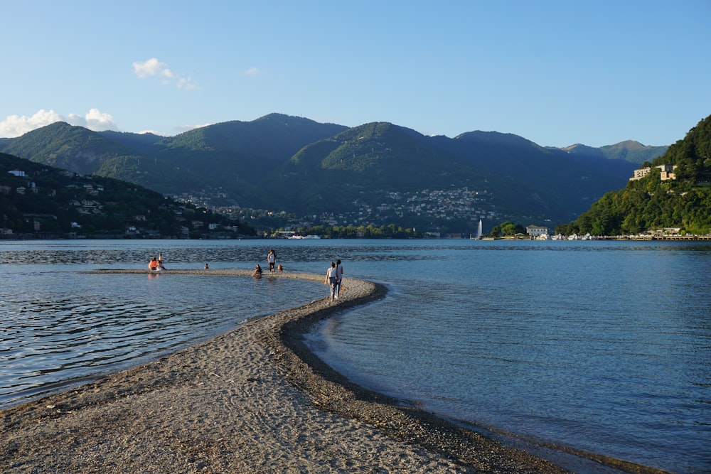 people on beach during daytime