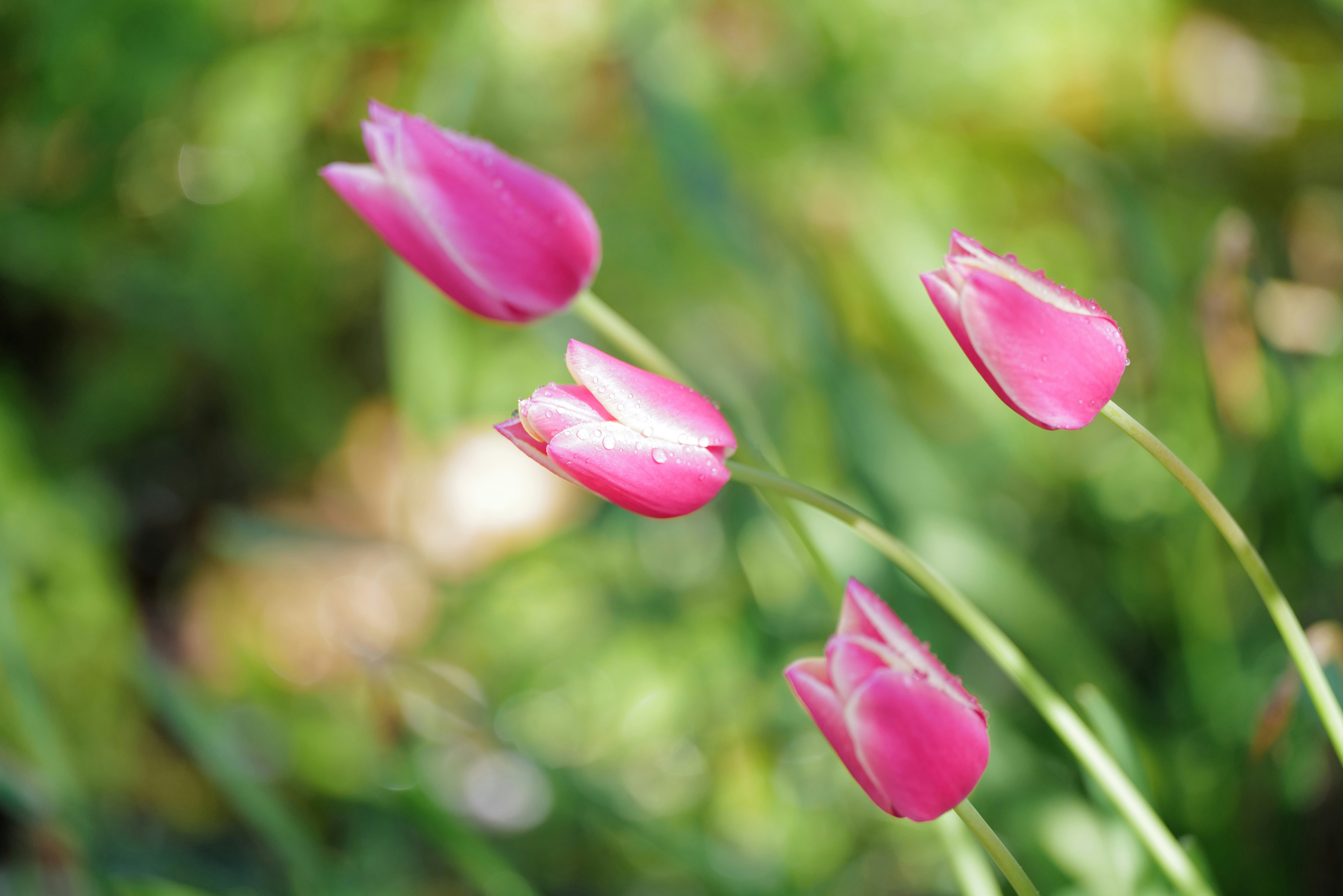 Photo by georgeiermann