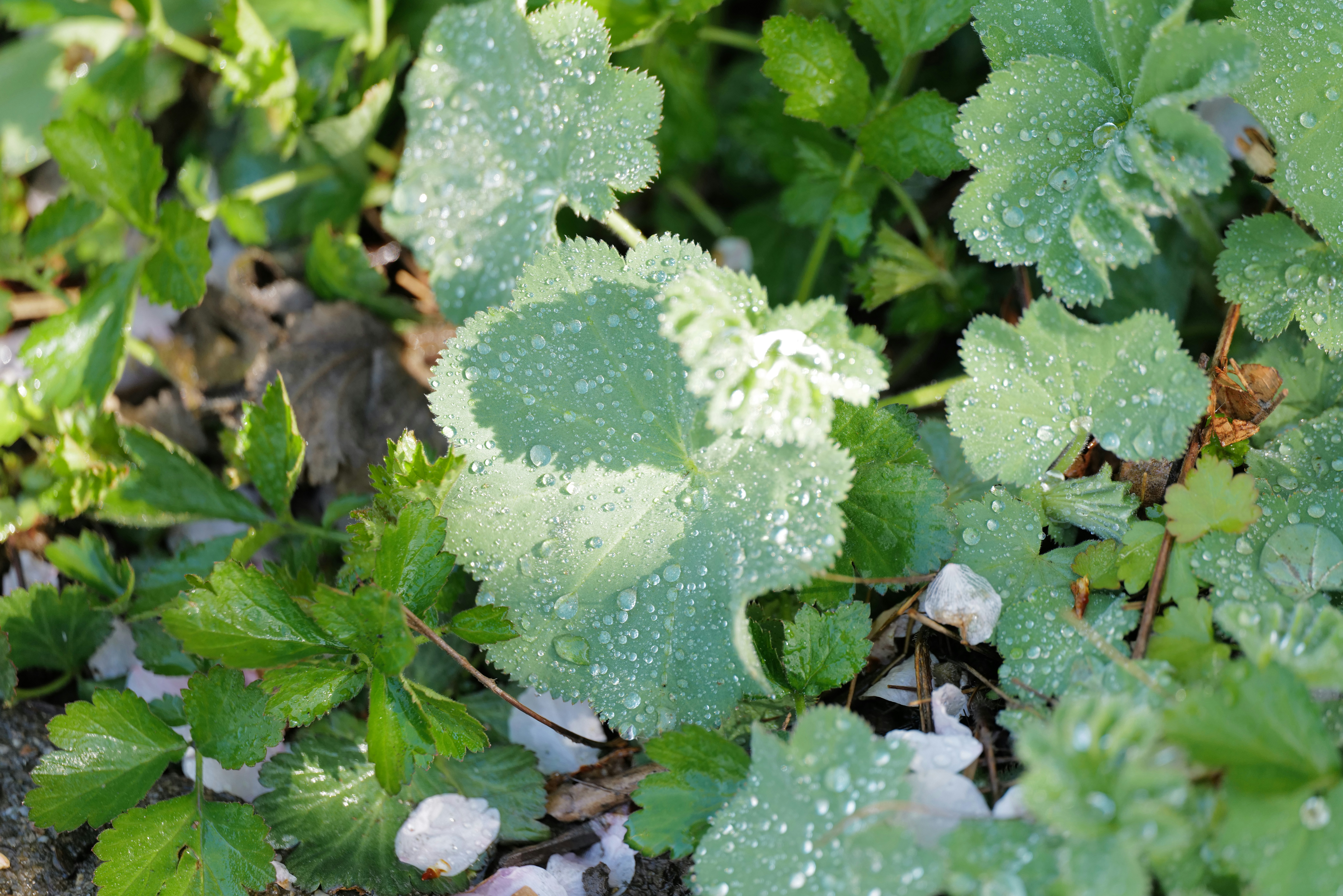 Photo by georgeiermann